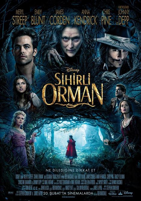 Into the Woods (2014) 128Kbps 23.976Fps 48Khz 2.0Ch Disney+ DD+ E-AC3 Turkish Audio TAC
