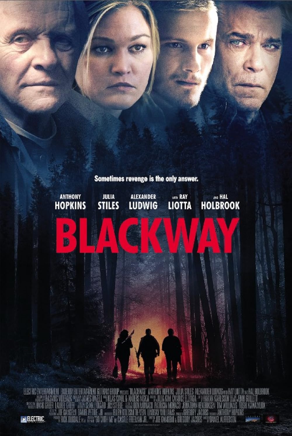 Blackway (2015) 192Kbps 25Fps 48Khz 2.0Ch DigitalTV Turkish Audio TAC