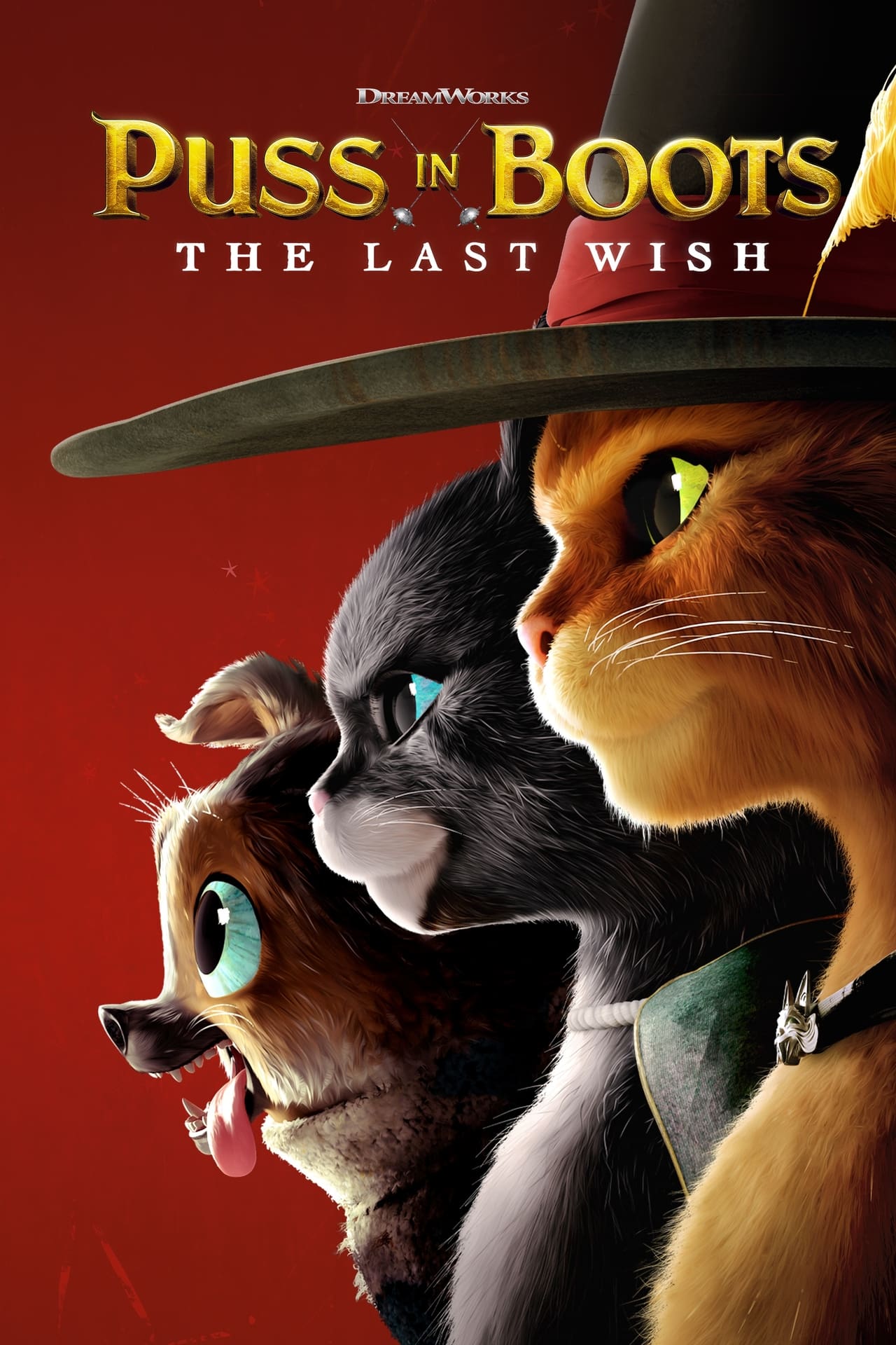 Puss in Boots: The Last Wish (2022) 192Kbps 23.976Fps 48Khz 2.0Ch iTunes Turkish Audio TAC