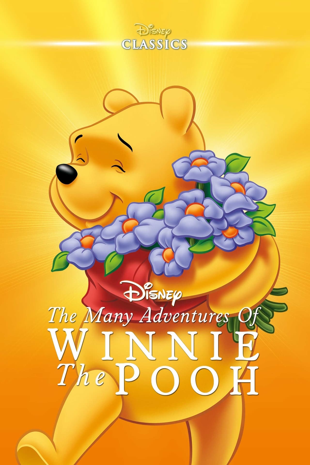 The Many Adventures of Winnie the Pooh (1977) 128Kbps 23.976Fps 48Khz 2.0Ch Disney+ DD+ E-AC3 Turkish Audio TAC