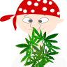 laralove