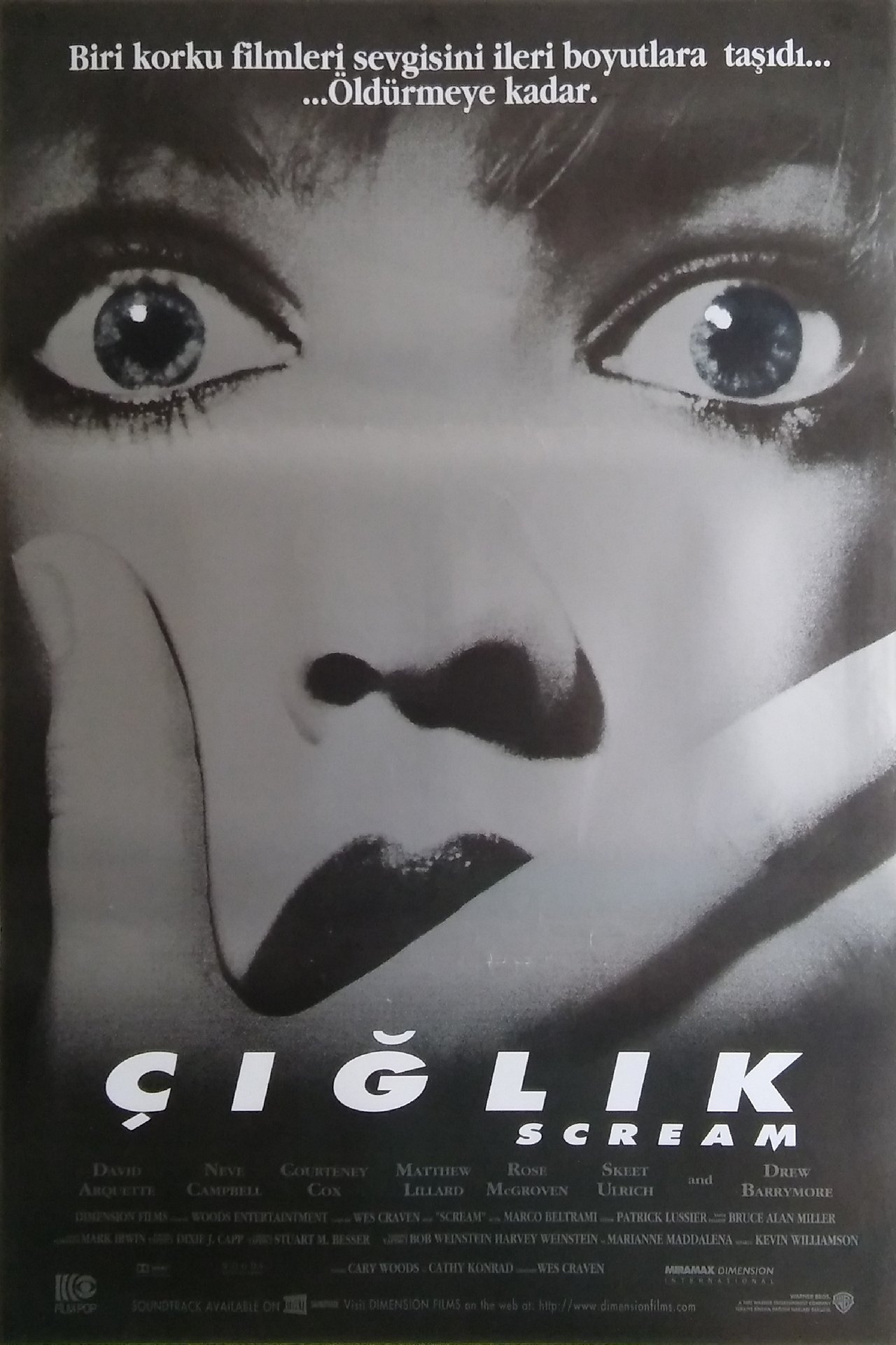 Scream (1996) 128Kbps 23.976Fps 48Khz 2.0Ch DD+ NF E-AC3 Turkish Audio TAC