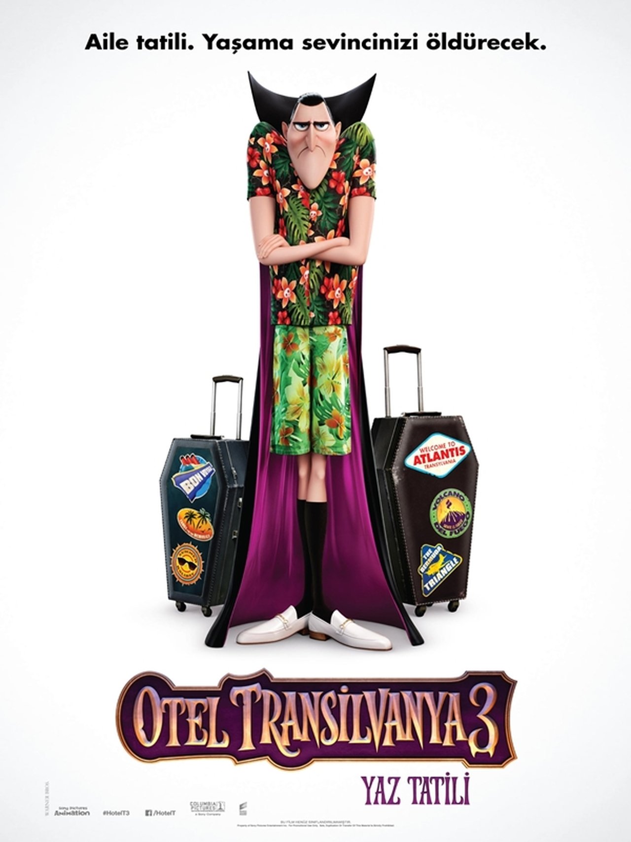 Hotel Transylvania 3: Summer Vacation (2018) 224Kbps 23.976Fps 48Khz 2.0Ch DD+ AMZN E-AC3 Turkish Audio TAC