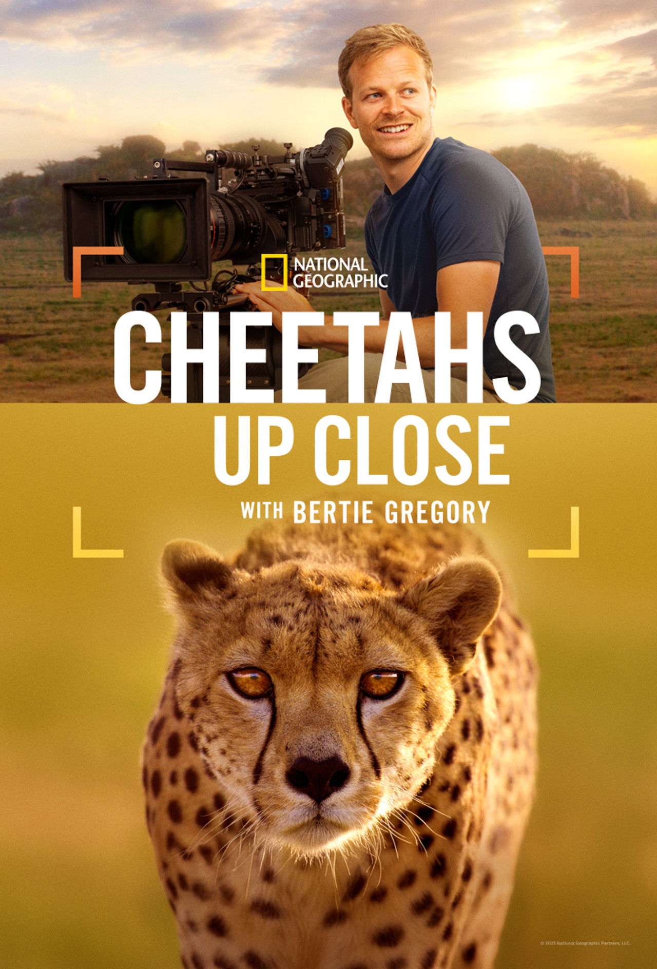 Cheetahs Up Close with Bertie Gregory (2026) 128Kbps 23.976Fps 48Khz 2.0Ch Disney+ DD+ E-AC3 Turkish Audio TAC
