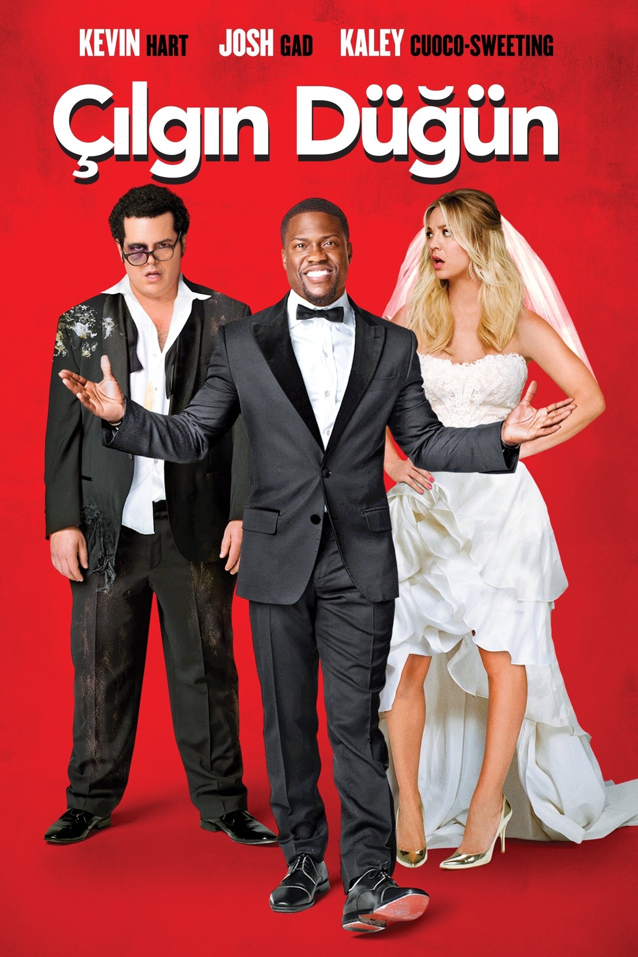 The Wedding Ringer (2015) 640Kbps 23.976Fps 48Khz 5.1Ch DD+ NF E-AC3 Turkish Audio TAC