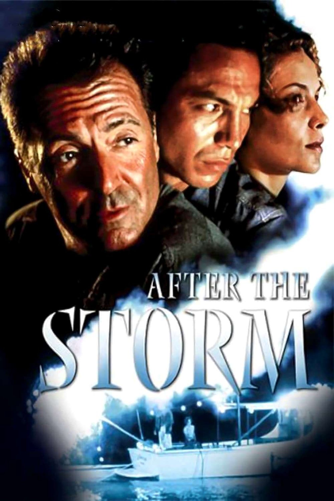 After the Storm (2001) 192Kbps 23.976Fps 48Khz 2.0Ch DigitalTV Turkish Audio TAC