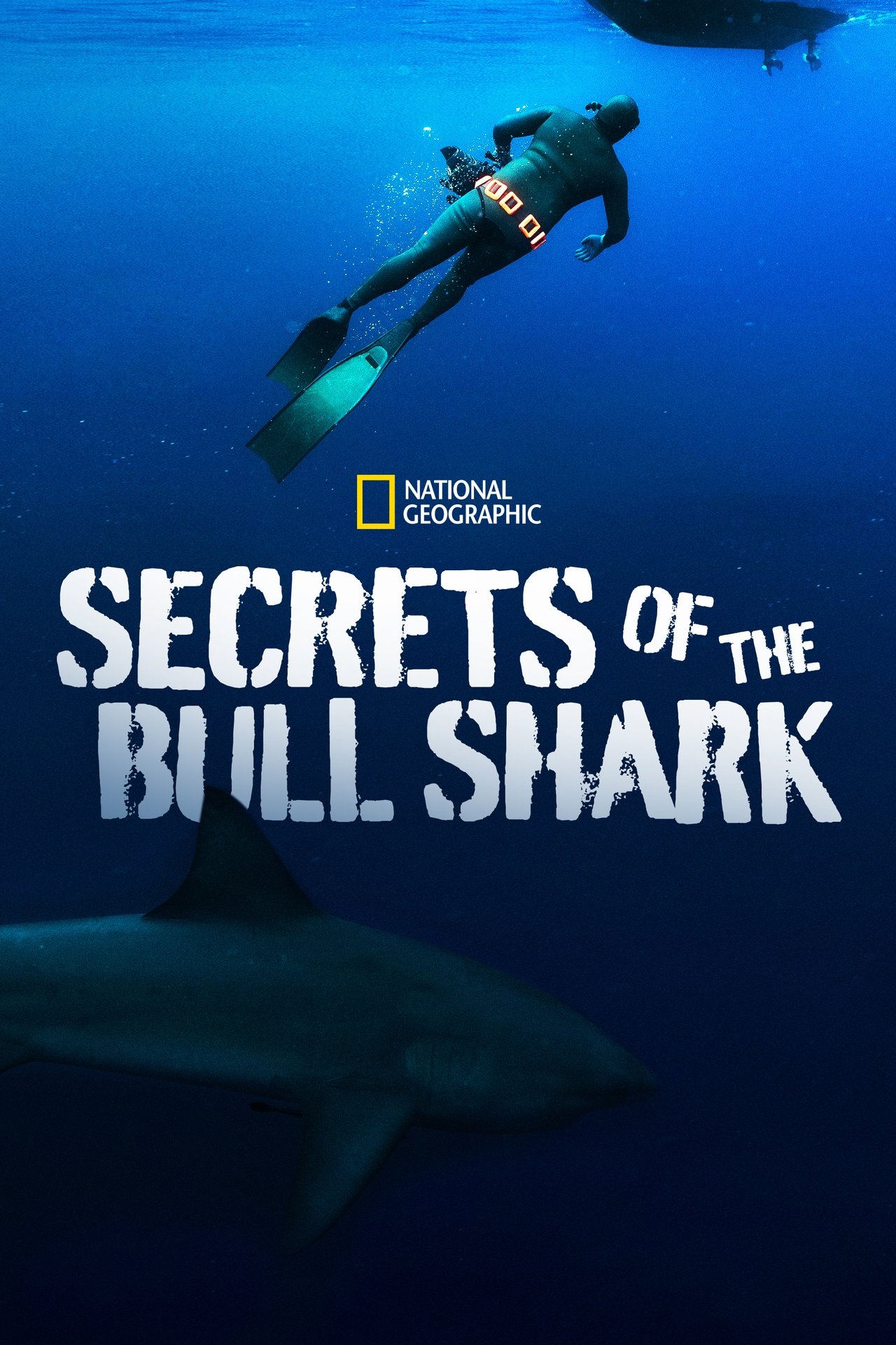 Secrets of the Bull Shark (2020) 128Kbps 25Fps 48Khz 2.0Ch Disney+ DD+ E-AC3 Turkish Audio TAC