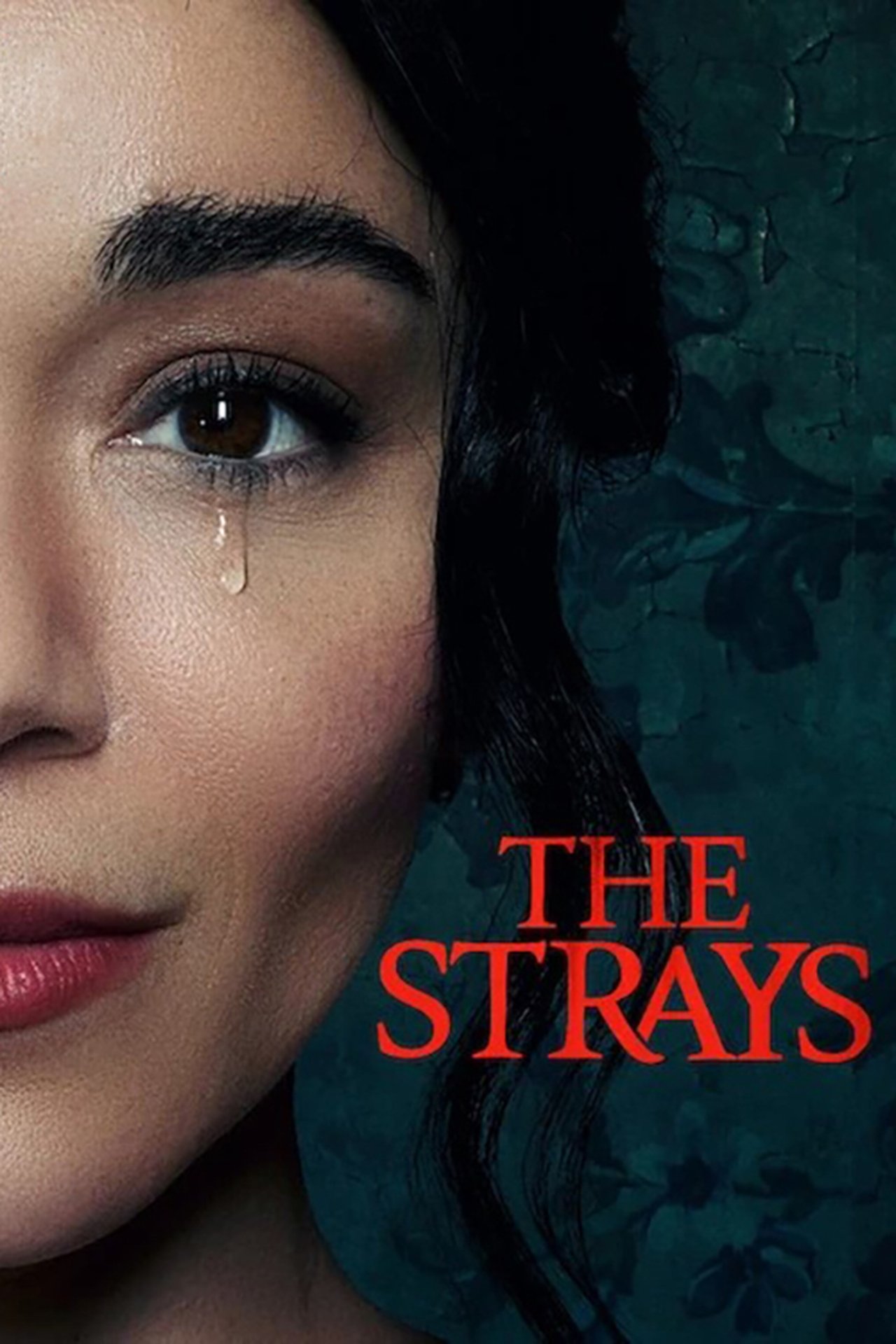 The Strays (2023) 640Kbps 24Fps 48Khz 5.1Ch DD+ NF E-AC3 Turkish Audio TAC