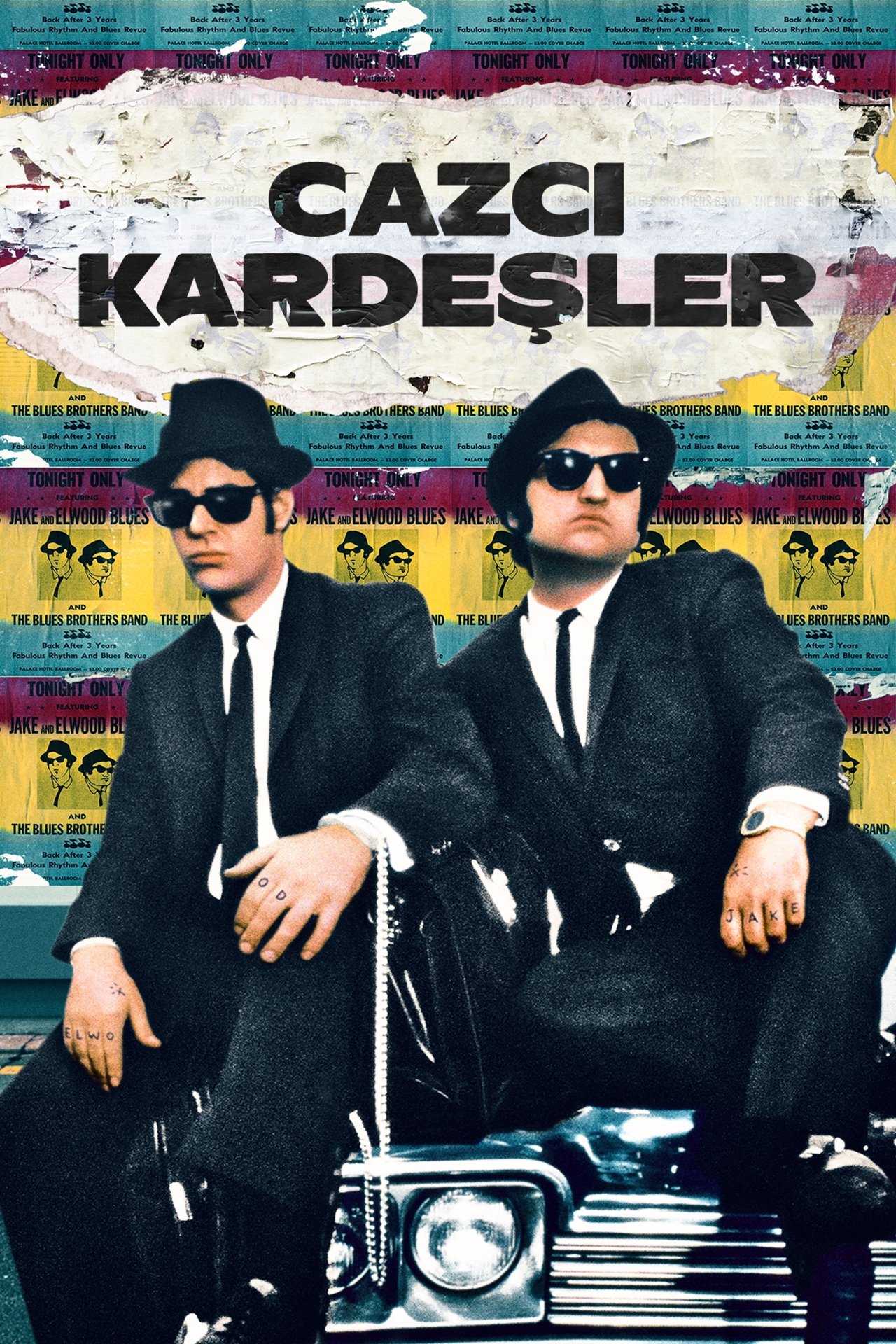 The Blues Brothers (1980) Theatrical Cut 192Kbps 23.976Fps 48Khz 2.0Ch DigitalTV Turkish Audio TAC