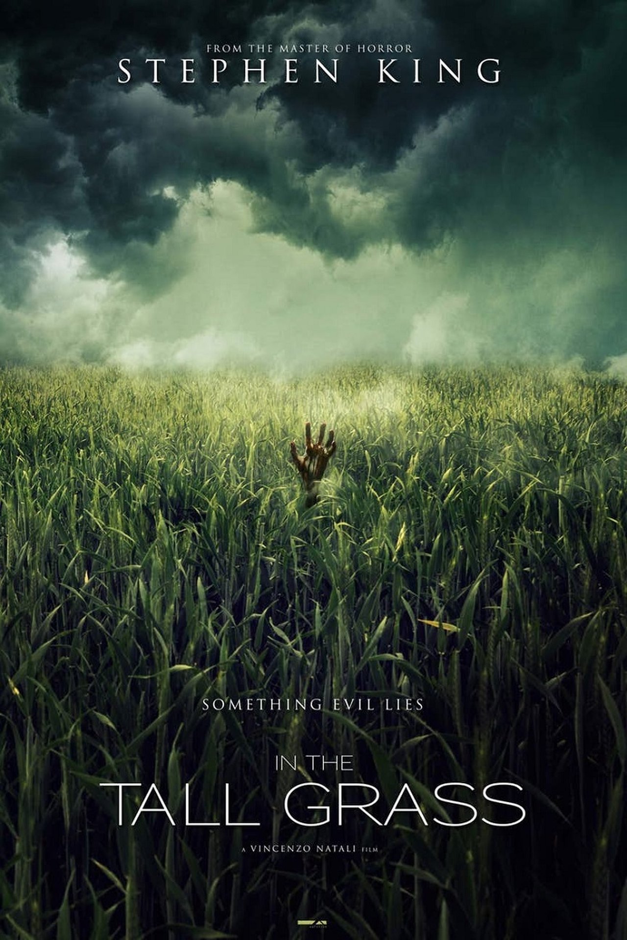 In the Tall Grass (2019) 640Kbps 24Fps 48Khz 5.1Ch DD+ NF E-AC3 Turkish Audio TAC