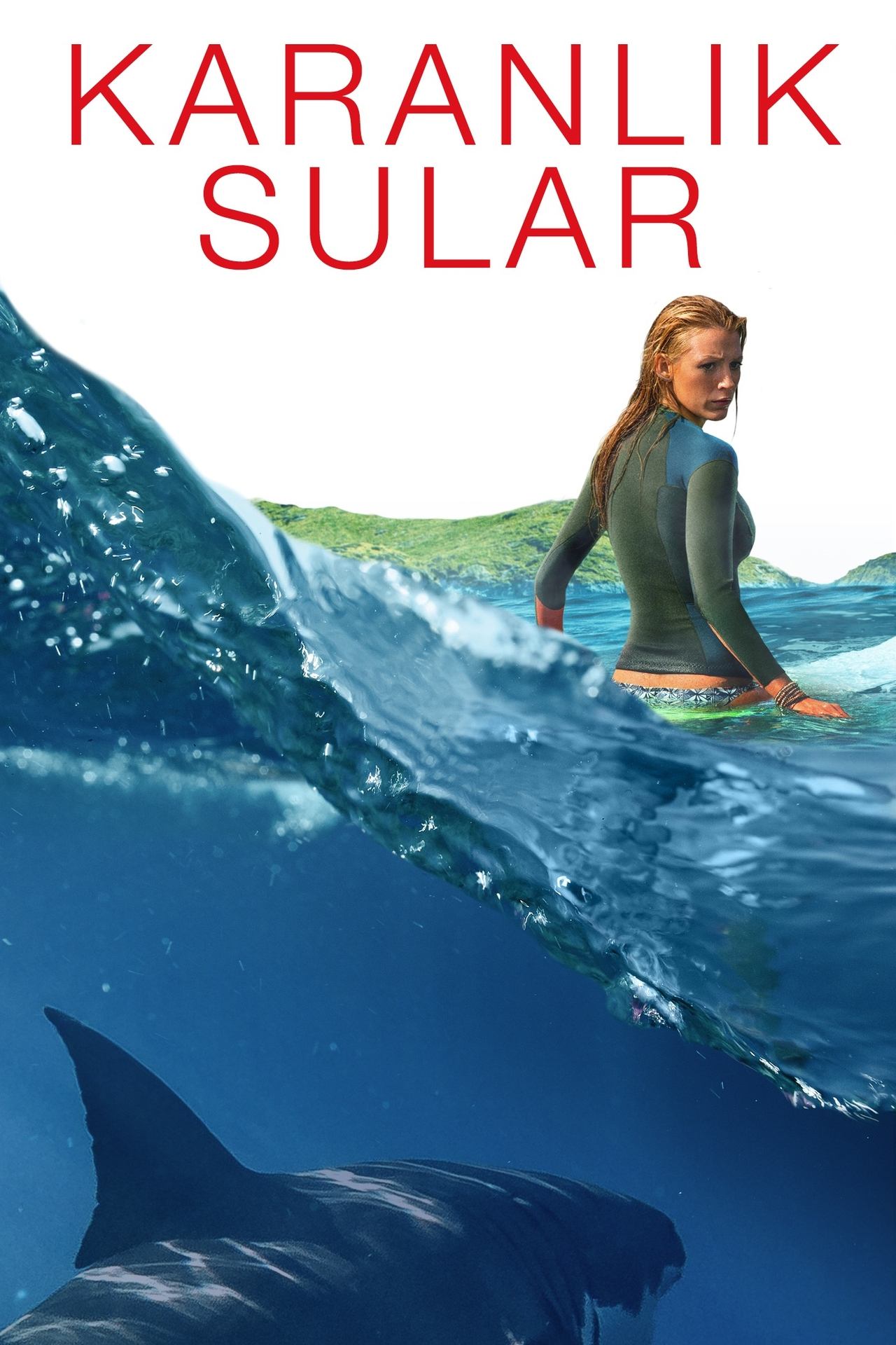 The Shallows (2016) 640Kbps 23.976Fps 48Khz 5.1Ch DD+ NF E-AC3 Turkish Audio TAC