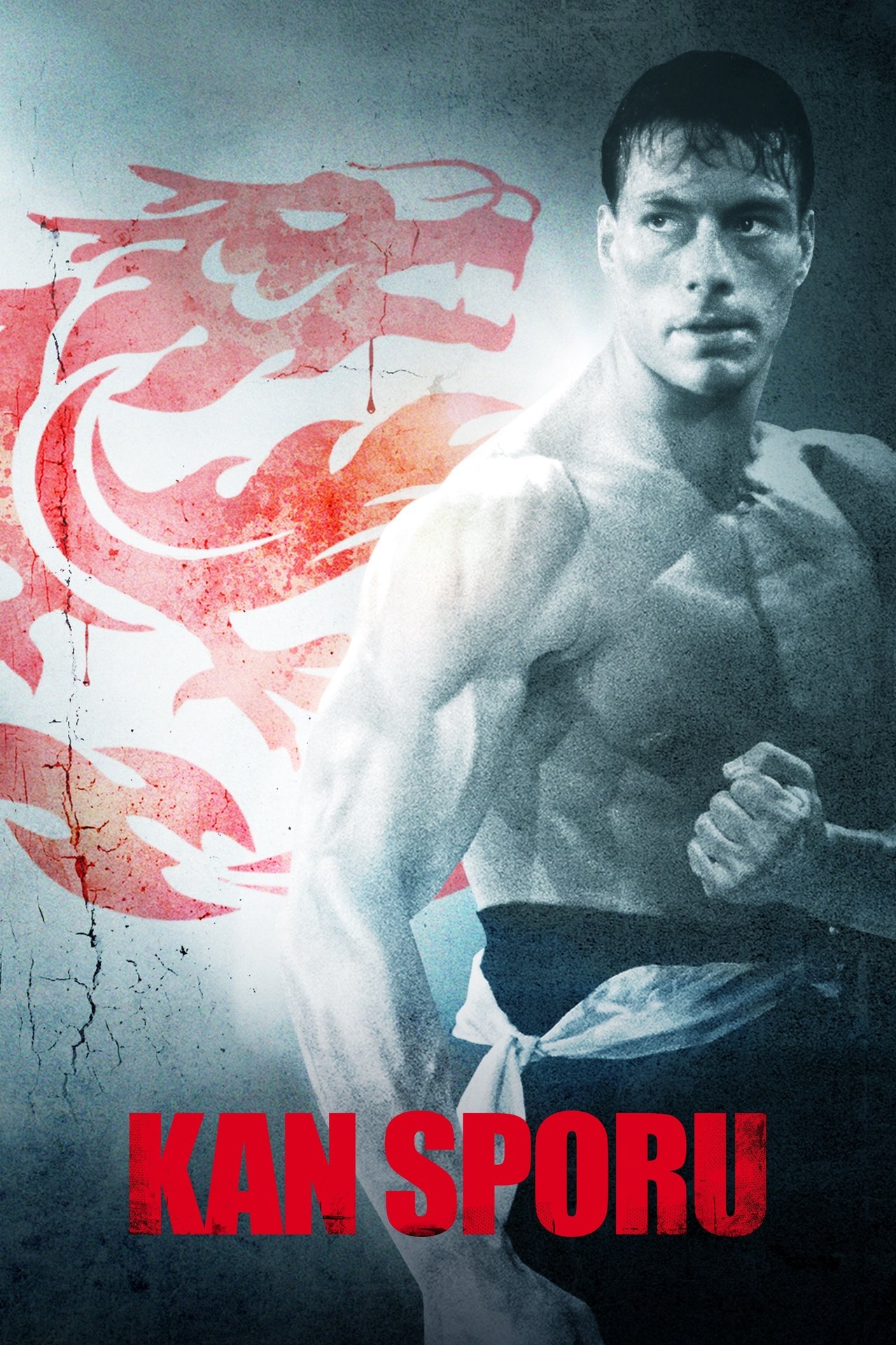 Bloodsport (1988) 192Kbps 23.976Fps 48Khz 2.0Ch DigitalTV Turkish Audio TAC