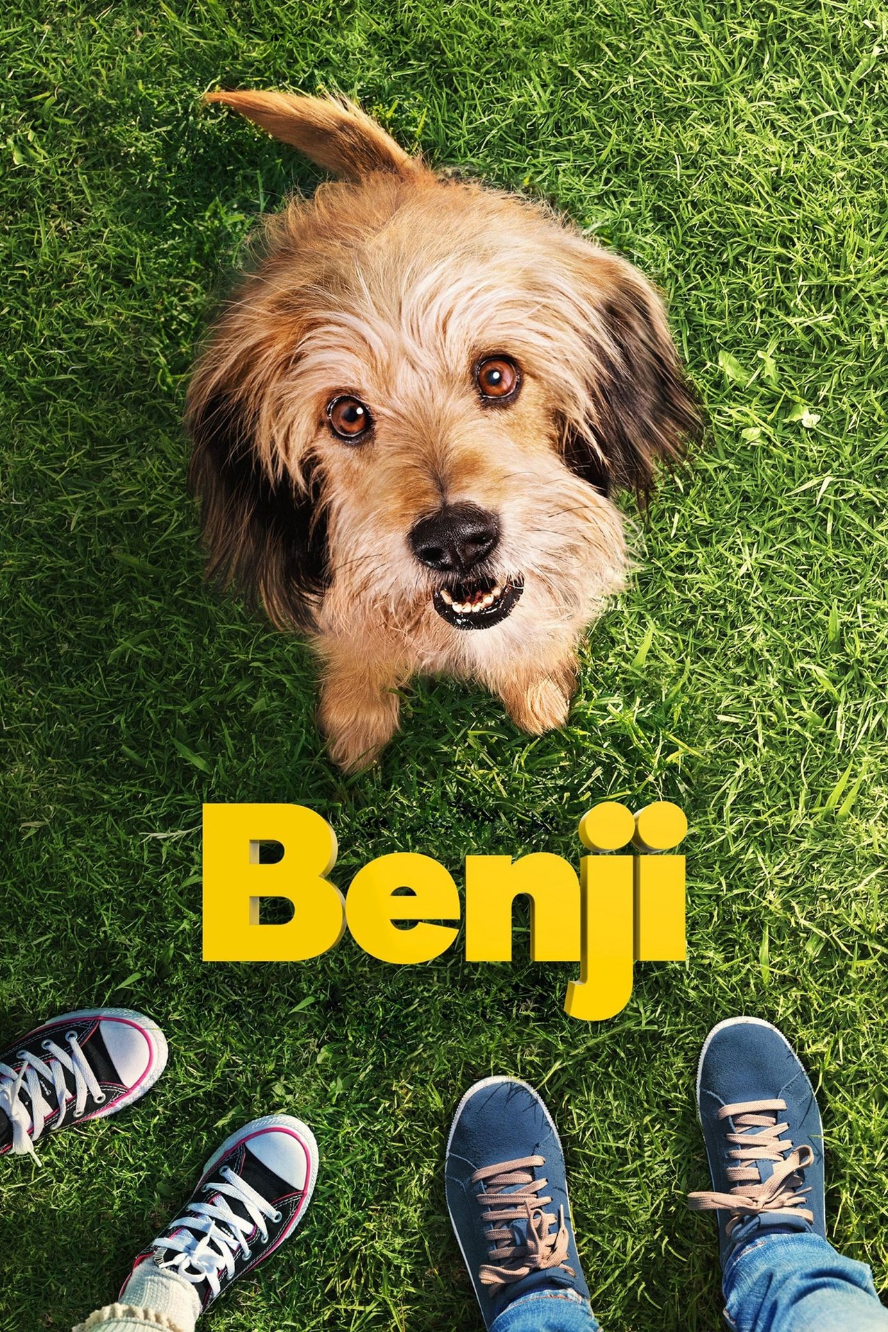 Benji (2018) 128Kbps 23.976Fps 48Khz 2.0Ch Disney+ DD+ E-AC3 Turkish Audio TAC