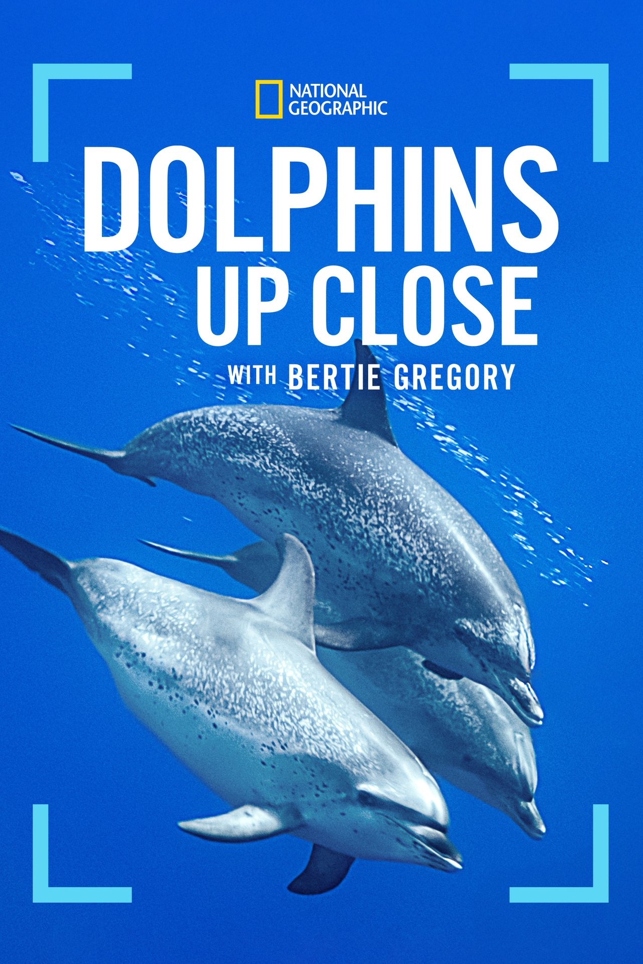 Dolphins Up Close with Bertie Gregory (2025) 128Kbps 23.976Fps 48Khz 2.0Ch Disney+ DD+ E-AC3 Turkish Audio TAC