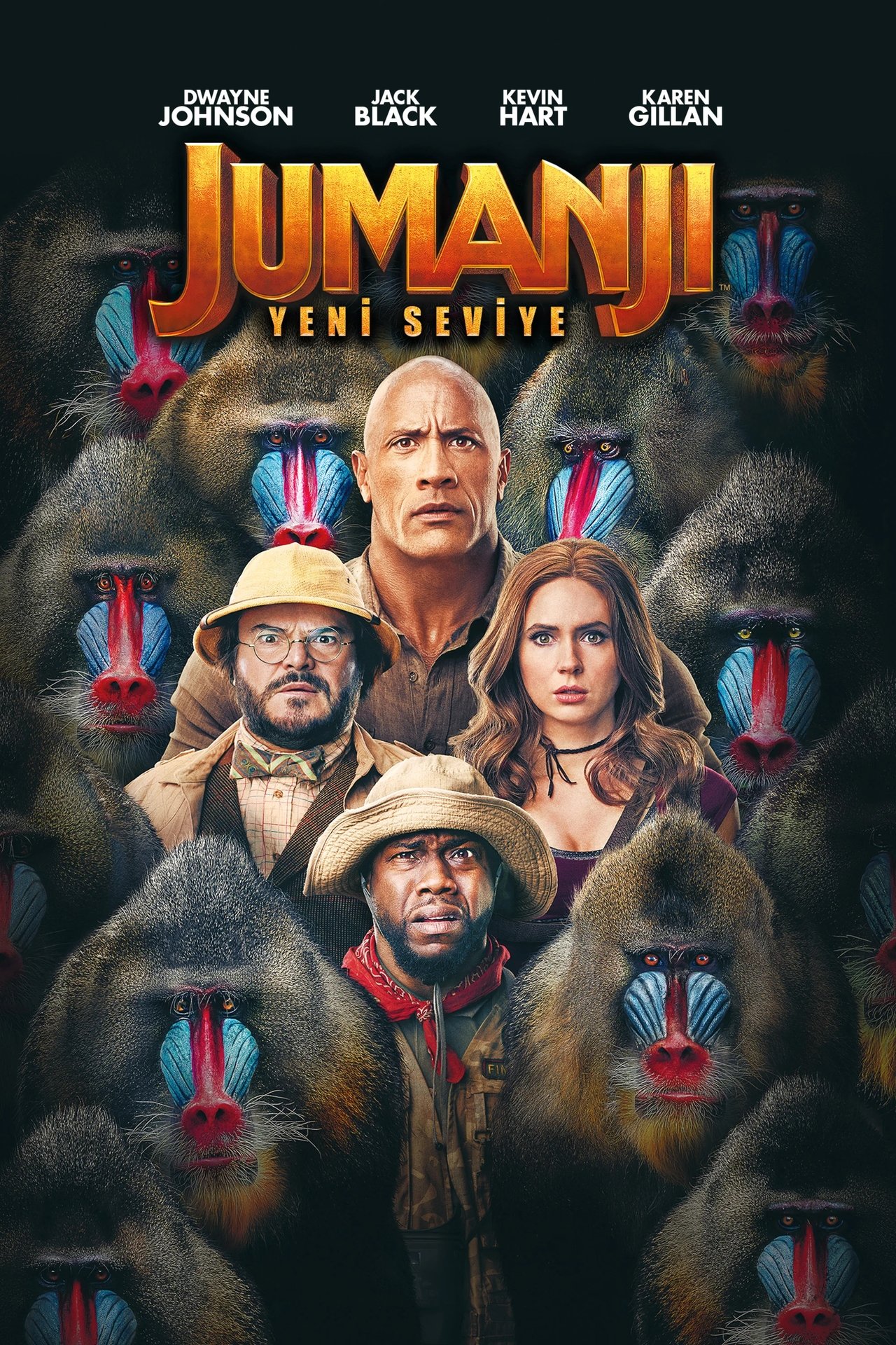 Jumanji: The Next Level (2019) 192Kbps 23.976Fps 48Khz 2.0Ch iTunes Turkish Audio TAC