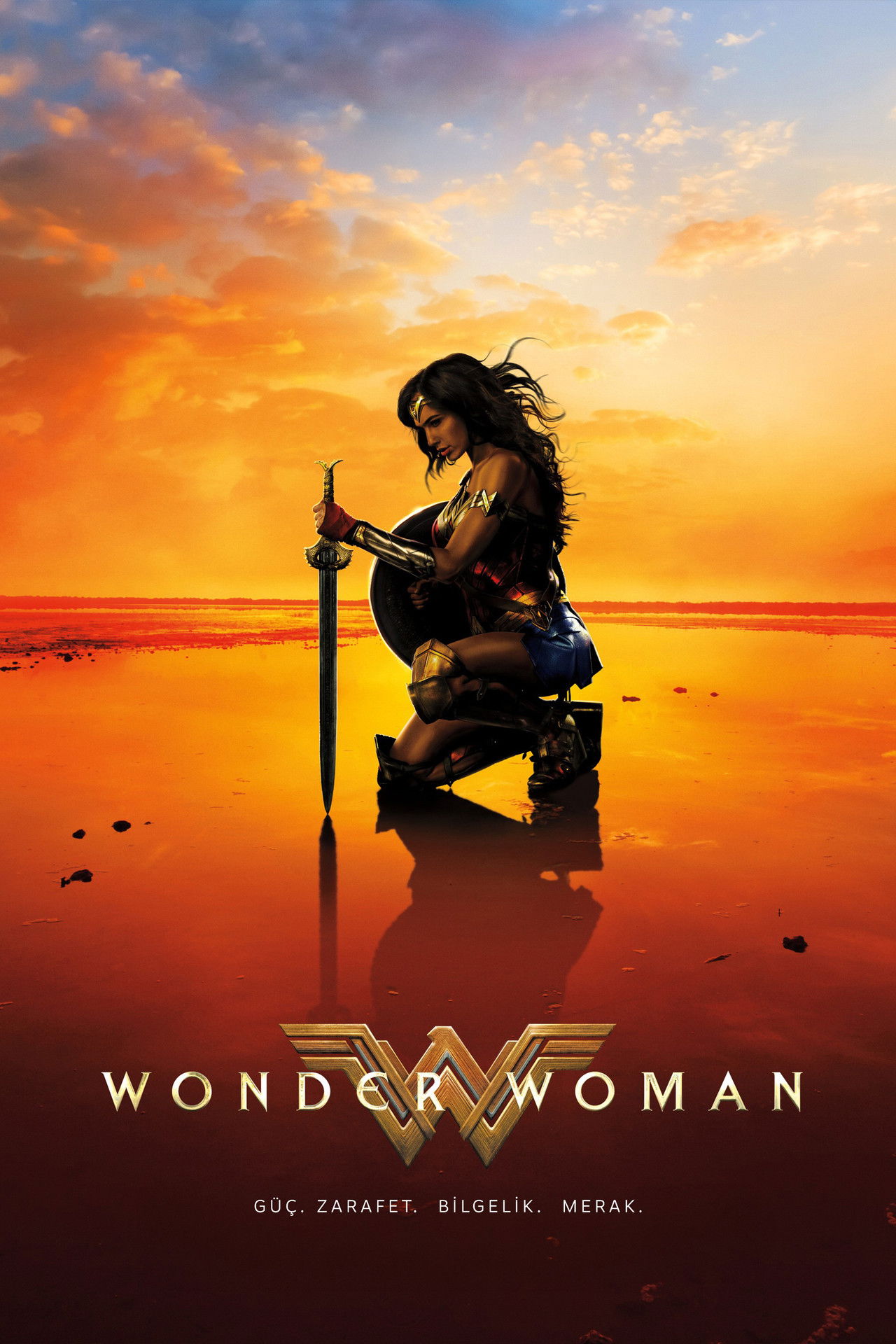 Wonder Woman (2017) 192Kbps 23.976Fps 48Khz 2.0Ch DigitalTV Turkish Audio TAC