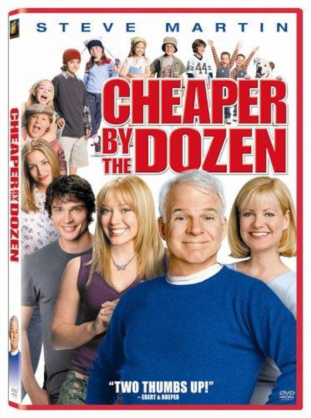 Cheaper by the Dozen (2003) 384Kbps 23.976Fps 48Khz 5.1Ch iTunes Turkish Audio TAC