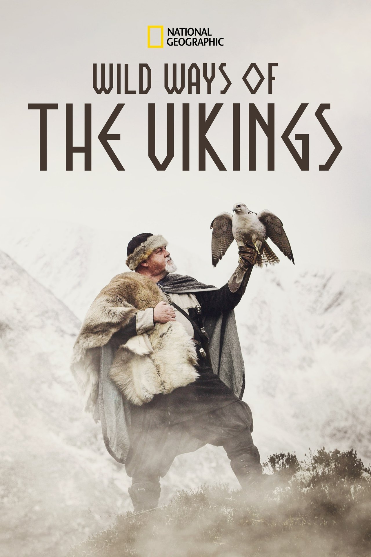 Wild Way of the Vikings (2019) 128Kbps 25Fps 48Khz 2.0Ch Disney+ DD+ E-AC3 Turkish Audio TAC