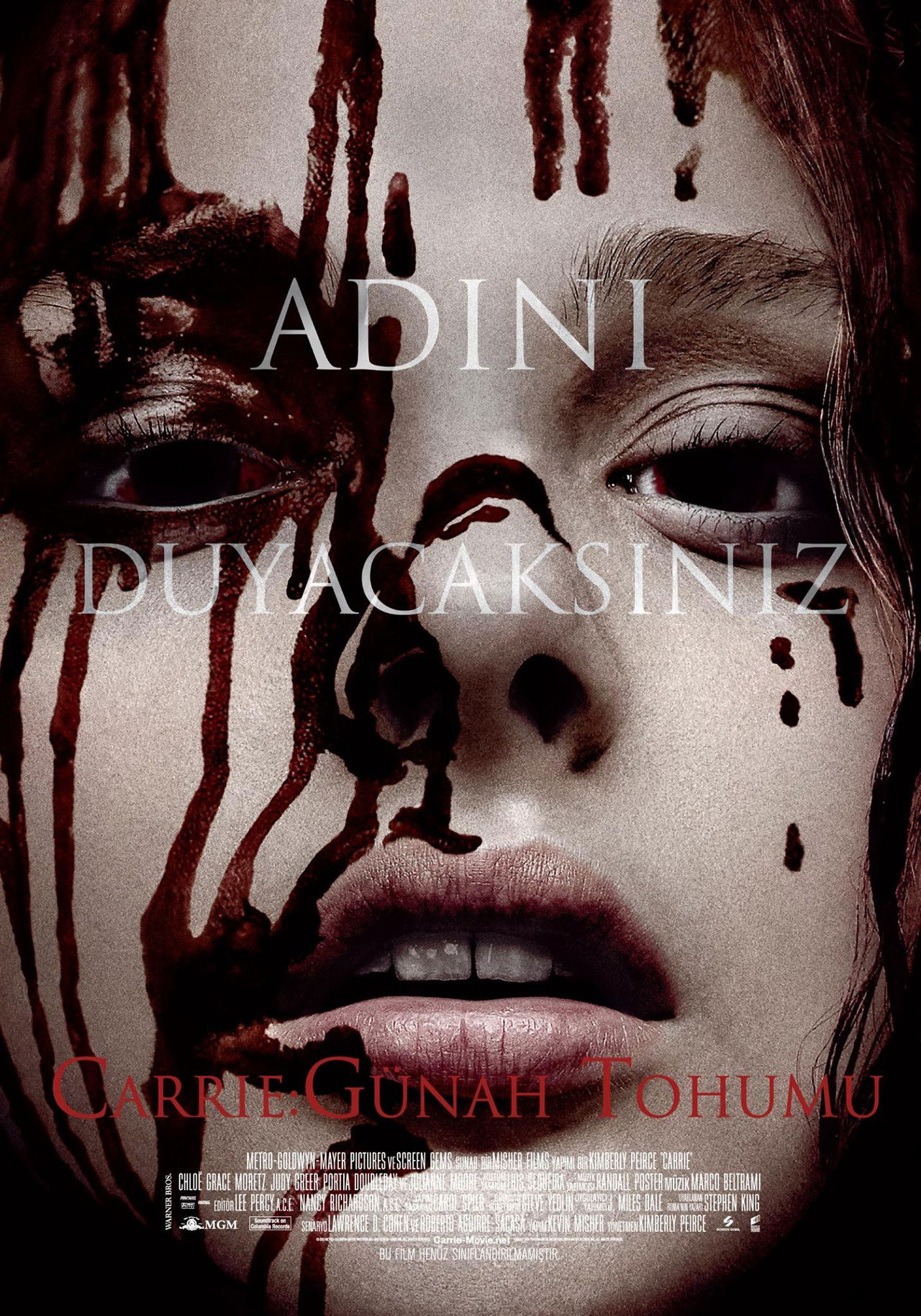 Carrie (2013) Theatrical Cut 256Kbps 25Fps 48Khz 5.1Ch DD+ E-AC3 HBO Max Turkish Audio TAC