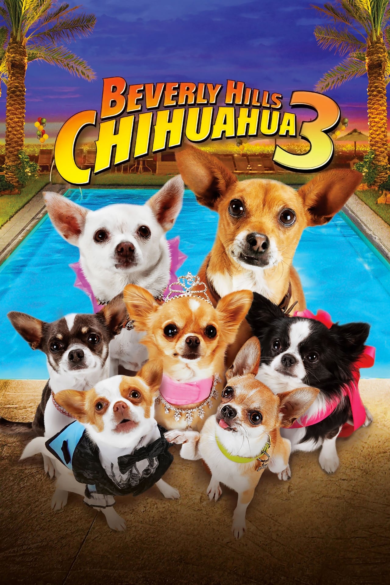 Beverly Hills Chihuahua 3: Viva La Fiesta! (2012) 128Kbps 23.976Fps 48Khz 2.0Ch Disney+ DD+ E-AC3 Turkish Audio TAC
