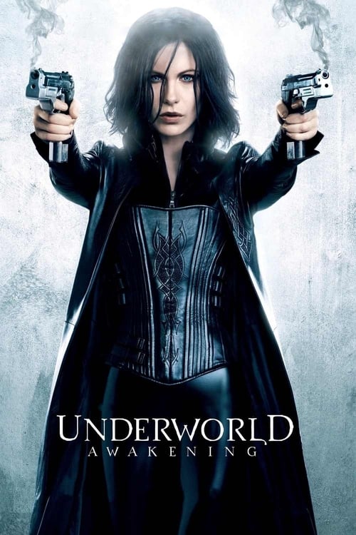 Underworld: Awakening (2012) 640Kbps 23.976Fps 48Khz 5.1Ch DD+ NF E-AC3 Turkish Audio TAC