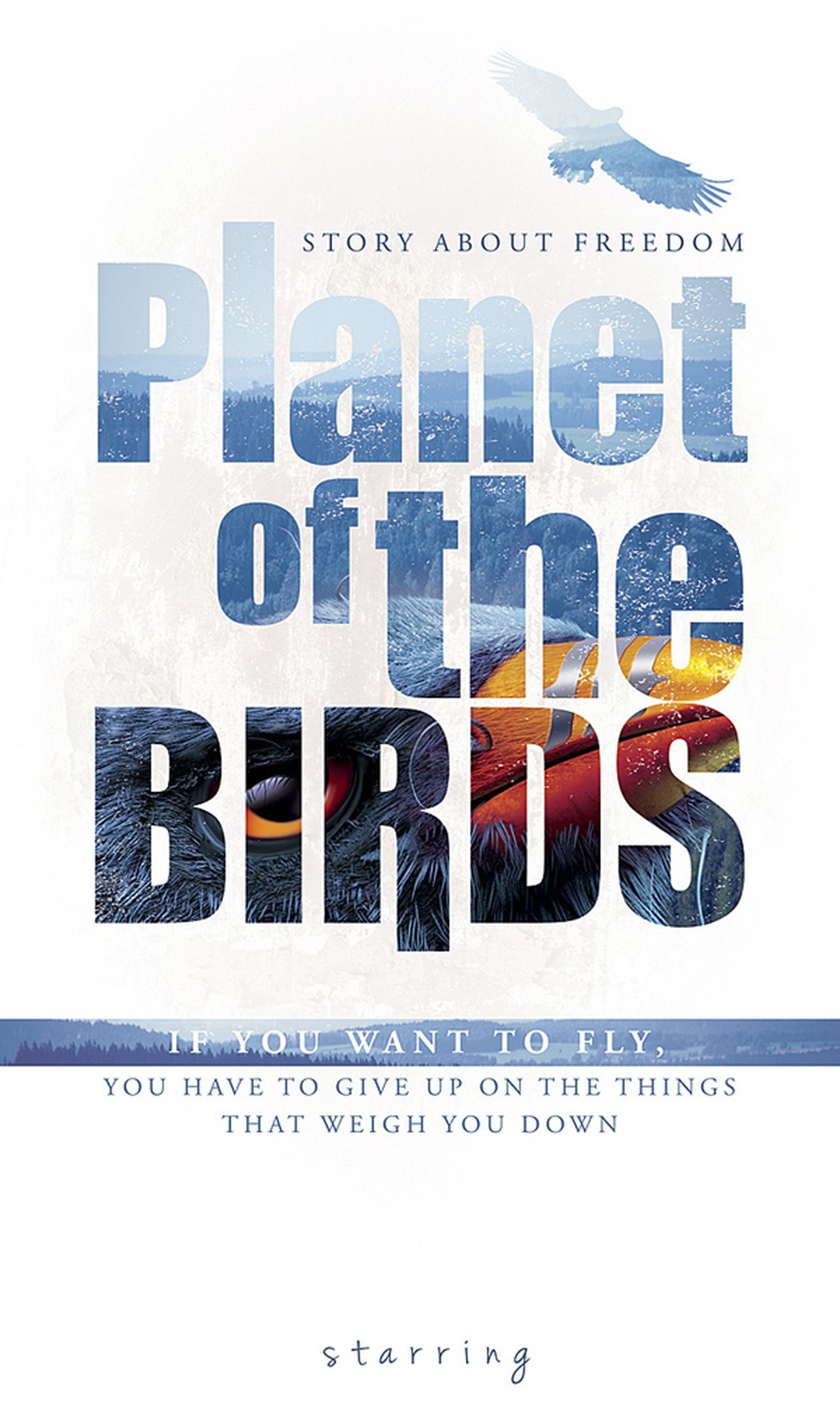 Planet of The Birds (2018) 128Kbps 29.970Fps 48Khz 2.0Ch Disney+ DD+ E-AC3 Turkish Audio TAC