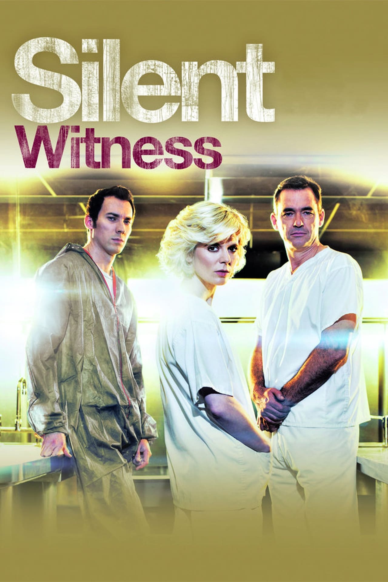 Silent Witness (2011) 192Kbps 23.976Fps 48Khz 2.0Ch DigitalTV Turkish Audio TAC