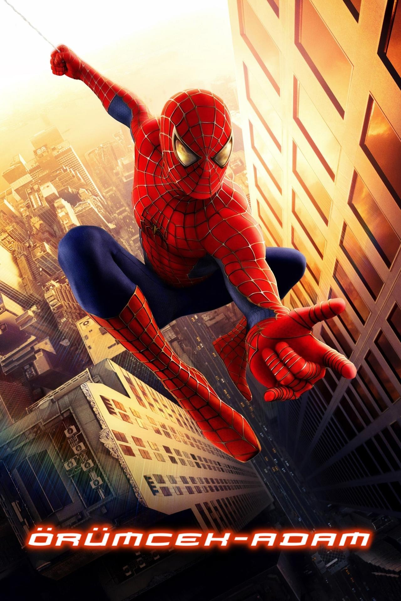 Spider-Man (2002) 128Kbps 23.976Fps 48Khz 2.0Ch DD+ NF E-AC3 Turkish Audio TAC