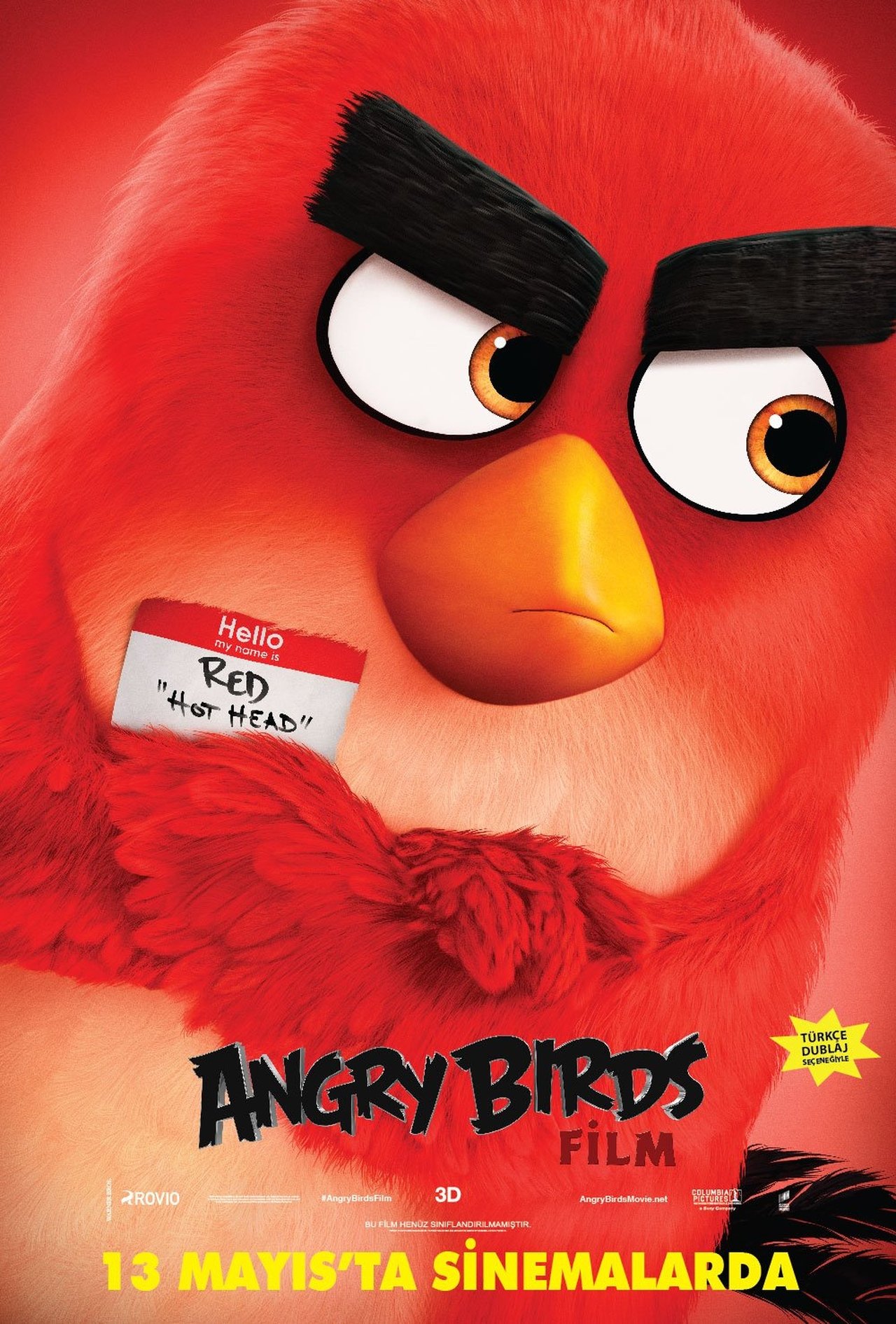The Angry Birds Movie (2016) 640Kbps 23.976Fps 48Khz 5.1Ch DD+ AMZN E-AC3 Turkish Audio TAC