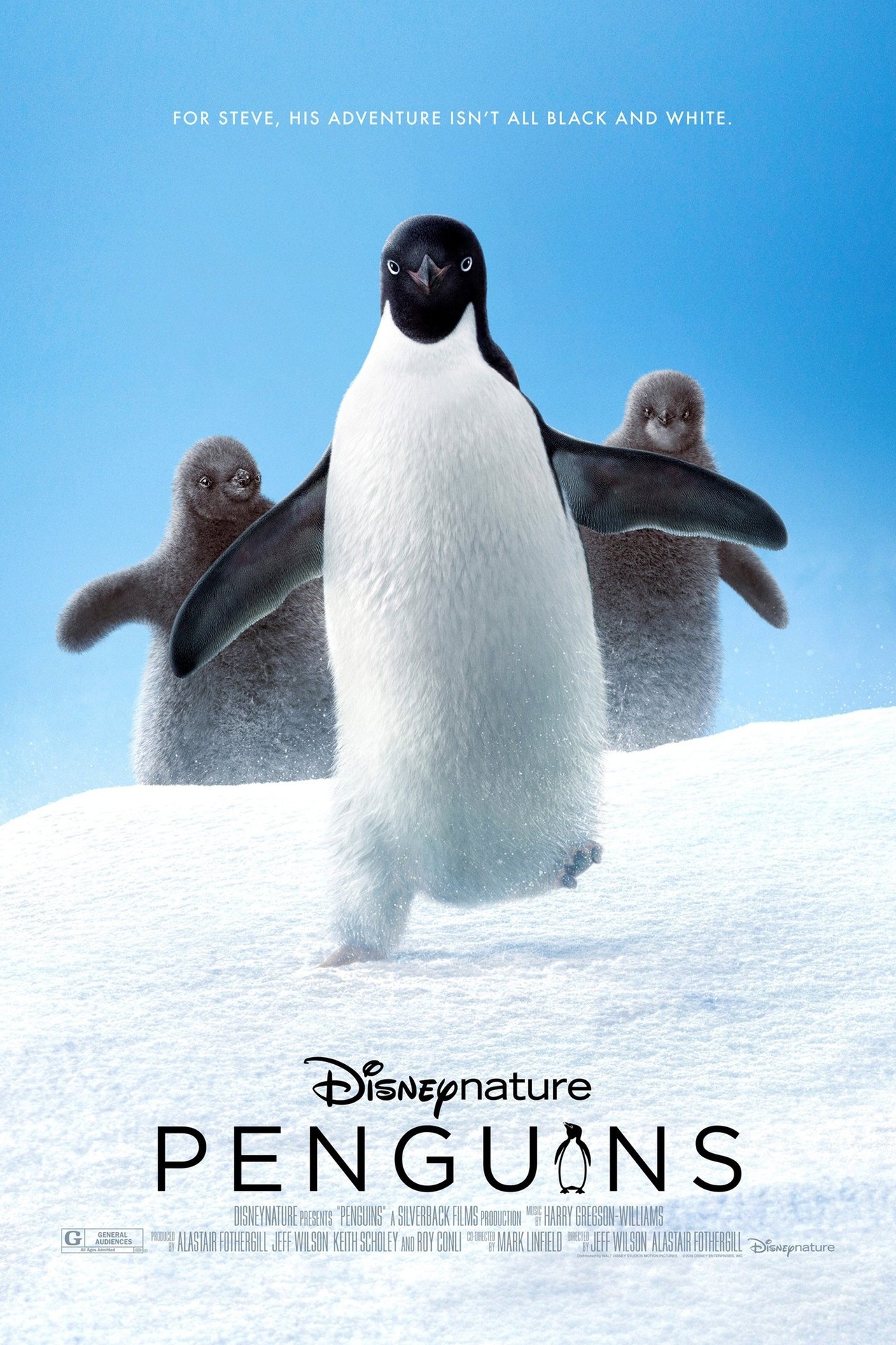 Penguins (2019) 128Kbps 23.976Fps 48Khz 2.0Ch Disney+ DD+ E-AC3 Turkish Audio TAC