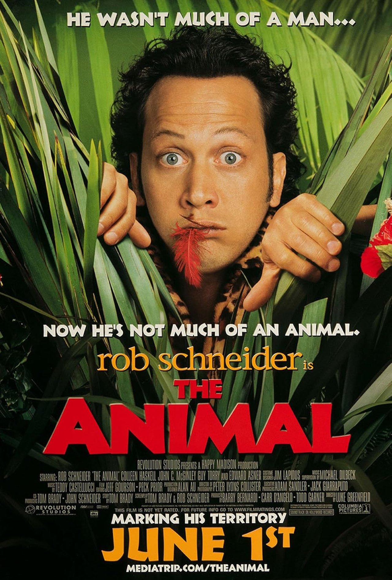 The Animal (2001) 640Kbps 23.976Fps 48Khz 5.1Ch DD+ NF E-AC3 Turkish Audio TAC