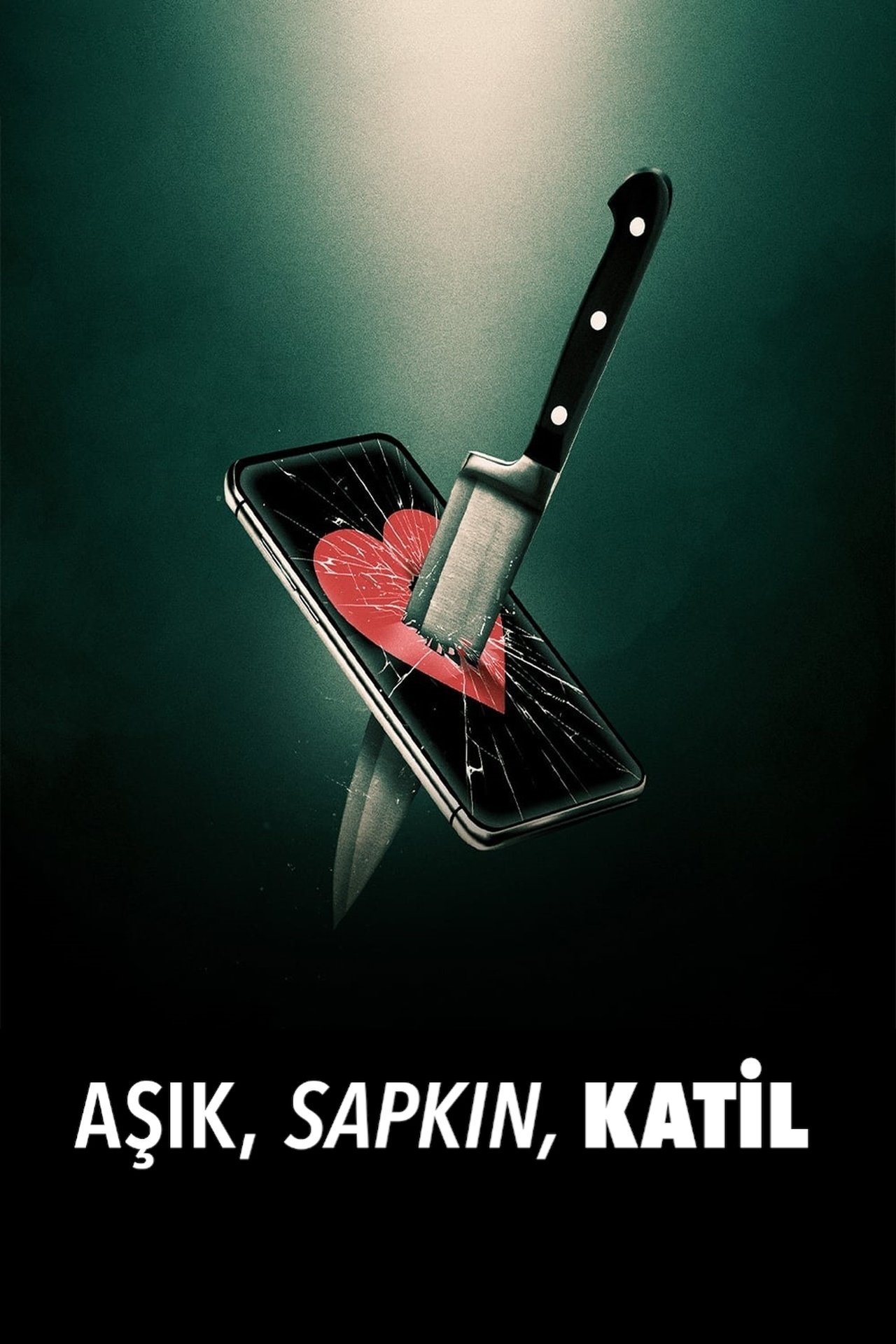 Lover, Stalker, Killer (2024) 640Kbps 23.976Fps 48Khz 5.1Ch DD+ NF E-AC3 Turkish Audio TAC