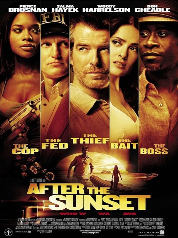 After the Sunset (2004) 448Kbps 23.976Fps 48Khz 5.1Ch DVD Turkish Audio TAC