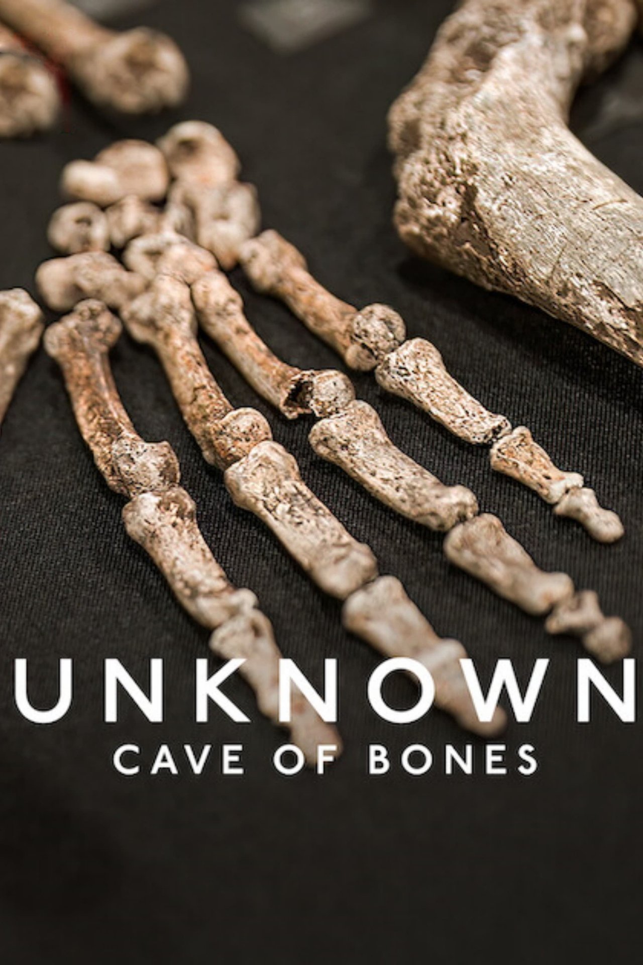 Unknown: Cave of Bones (2023) 640Kbps 23.976Fps 48Khz 5.1Ch DD+ NF E-AC3 Turkish Audio TAC