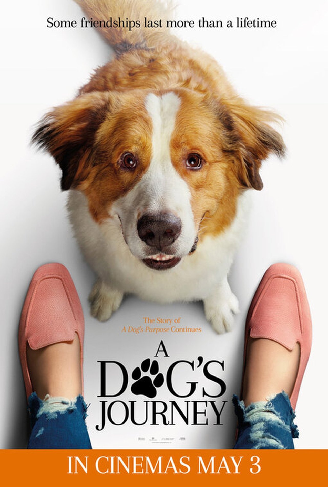 A Dog's Journey (2019) 192Kbps 23.976Fps 48Khz 2.0Ch DigitalTV Turkish Audio TAC