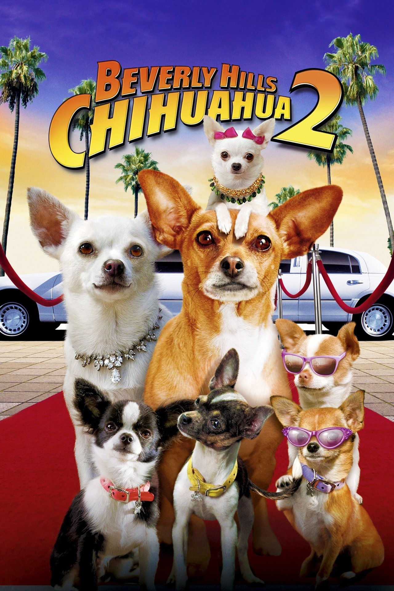 Beverly Hills Chihuahua 2 (2011) 256Kbps 23.976Fps 48Khz 5.1Ch Disney+ DD+ E-AC3 Turkish Audio TAC