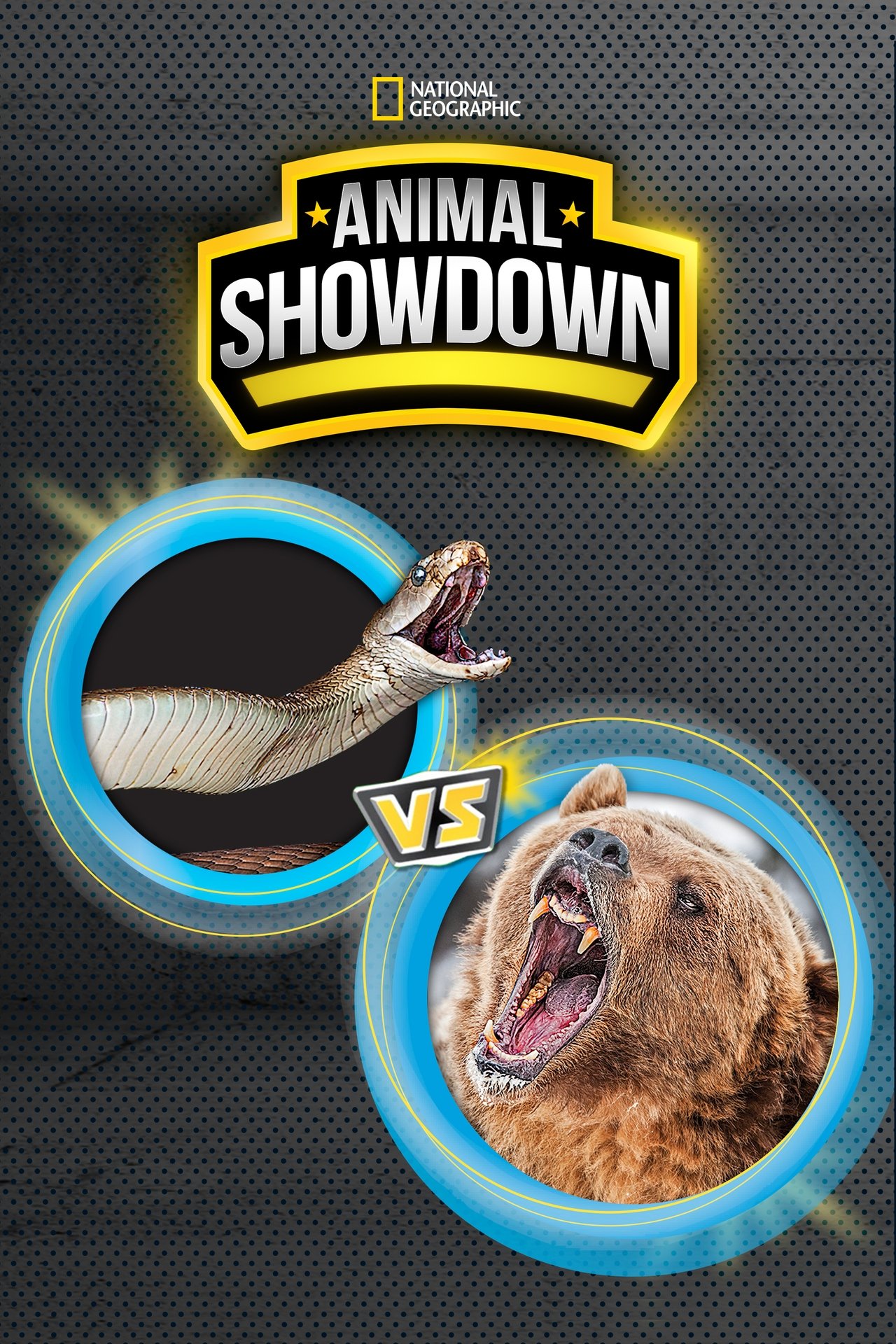 Animal Showdown (2018) S1 EP01&EP06 256Kbps 29.970Fps 48Khz 5.1Ch Disney+ DD+ E-AC3 Turkish Audio TAC