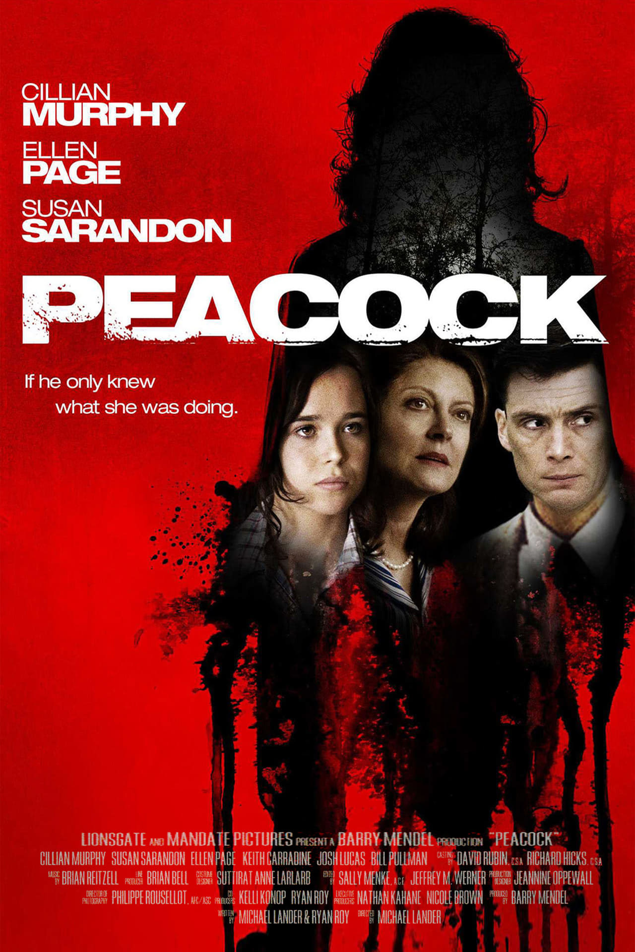 Peacock (2010) 192Kbps 25Fps 48Khz 2.0Ch DVD Turkish Audio TAC