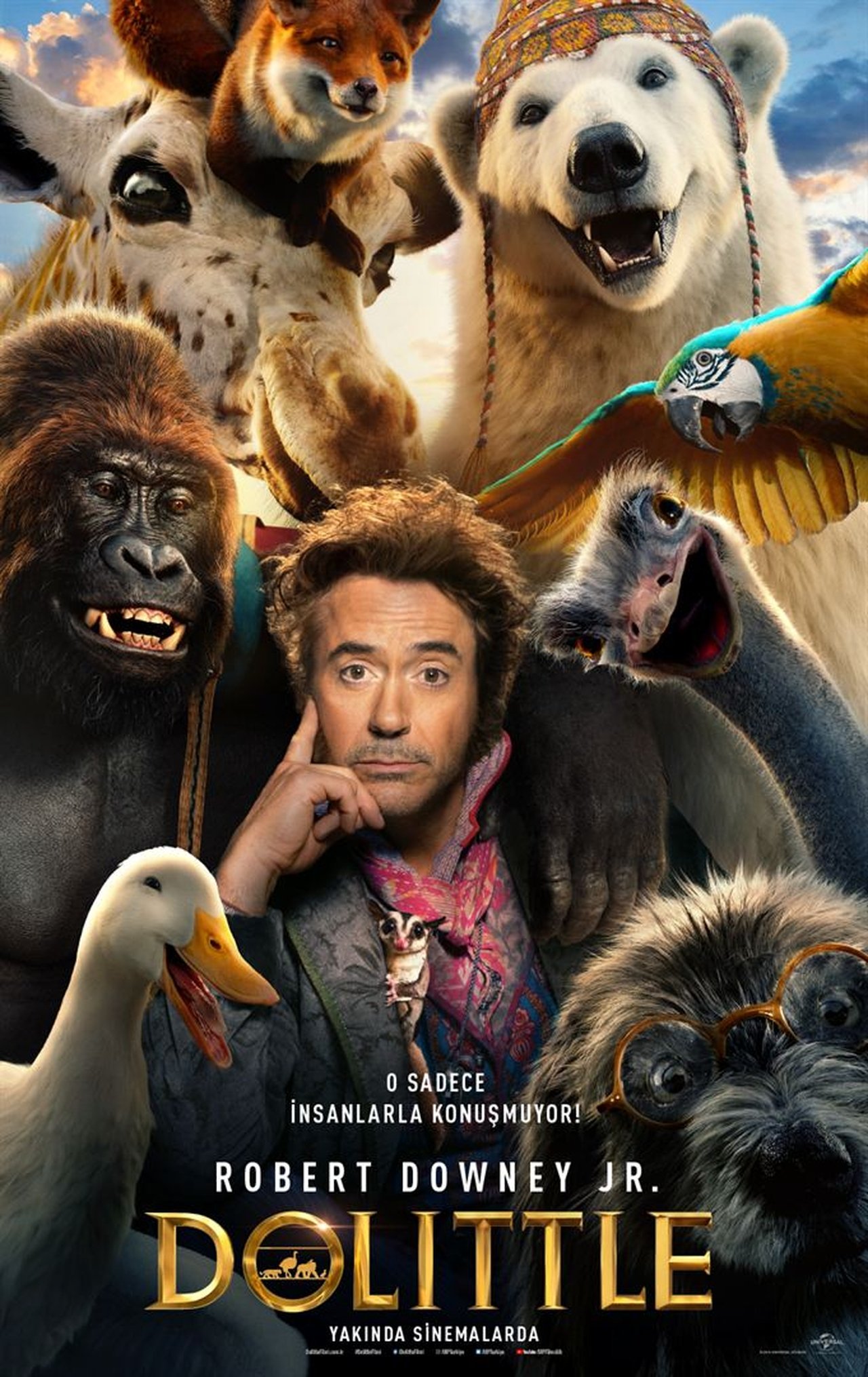 Dolittle (2020) 640Kbps 23.976Fps 48Khz 5.1Ch BluRay Turkish Audio TAC