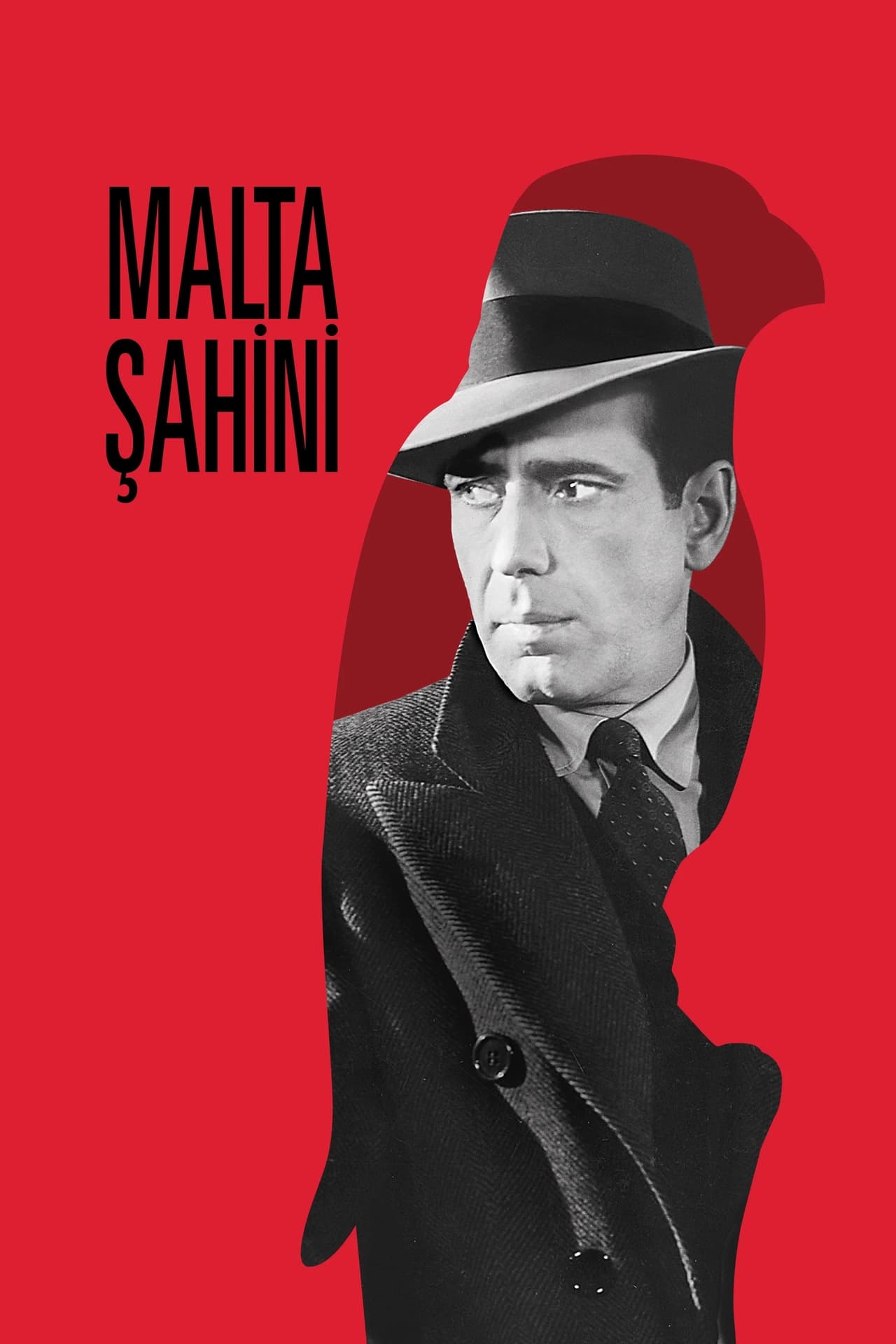The Maltese Falcon (1941) 192Kbps 23.976Fps 48Khz 2.0Ch iTunes Turkish Audio TAC