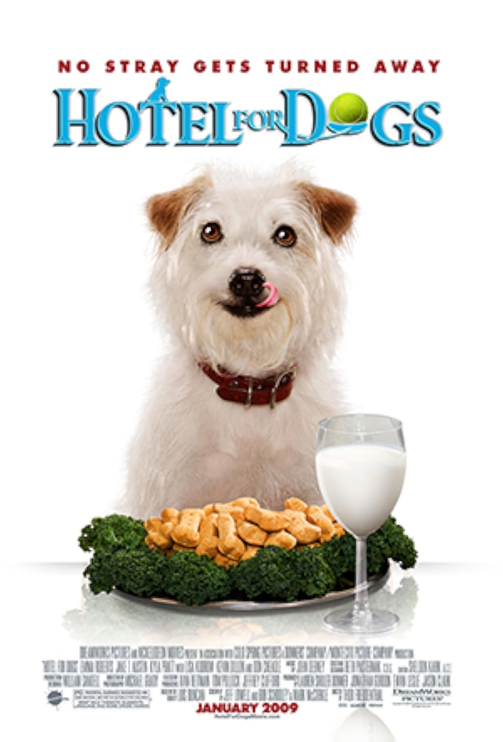Hotel for Dogs (2009) 640Kbps 23.976Fps 48Khz 5.1Ch DD+ NF E-AC3 Turkish Audio TAC
