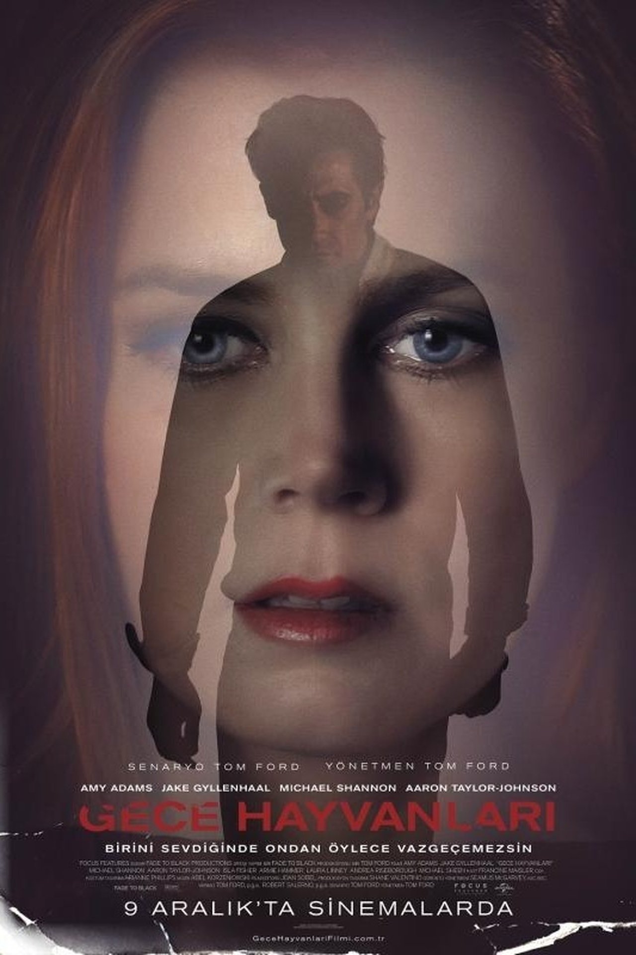 Nocturnal Animals (2016) 640Kbps 23.976Fps 48Khz 5.1Ch DD+ AMZN E-AC3 Turkish Audio TAC