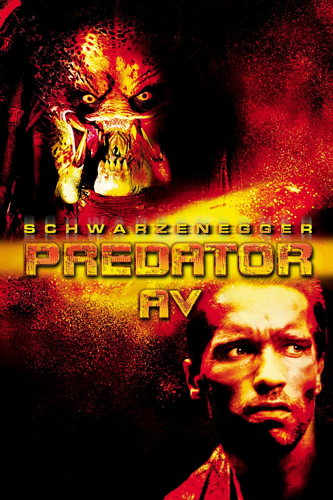 Predator (1987) 192Kbps 23.976Fps 48Khz 2.0Ch DigitalTV Turkish Audio TAC