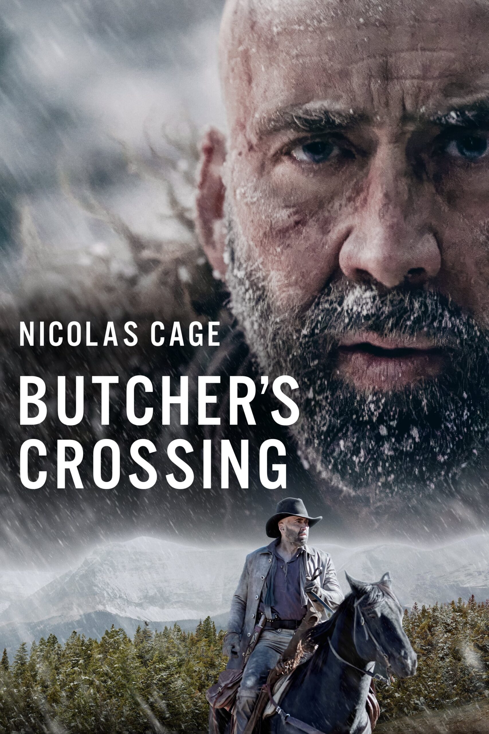 Butcher's Crossing (2022) 192Kbps 23.976Fps 48Khz 2.0Ch DigitalTV Turkish Audio TAC