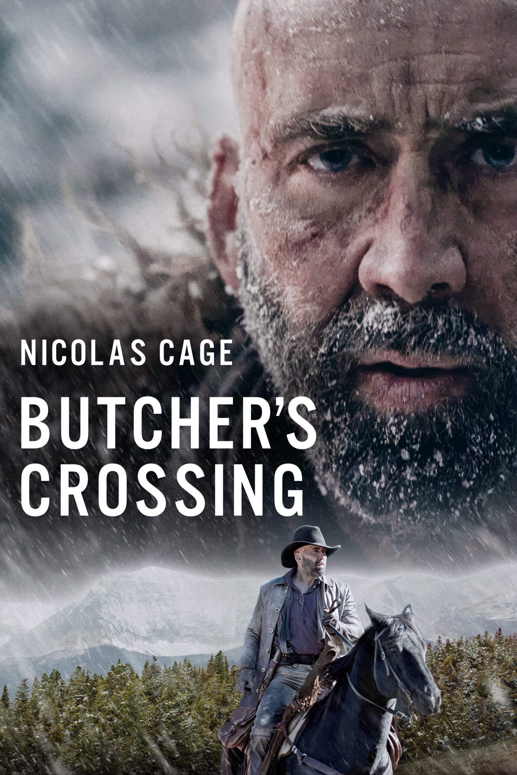 Butcher's Crossing (2022) 192Kbps 23.976Fps 48Khz 2.0Ch DigitalTV Turkish Audio TAC