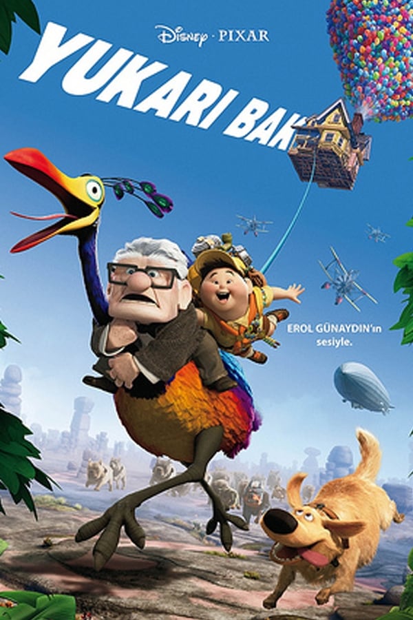 Up (2009) 640Kbps 23.976Fps 48Khz 5.1Ch BluRay Turkish Audio TAC