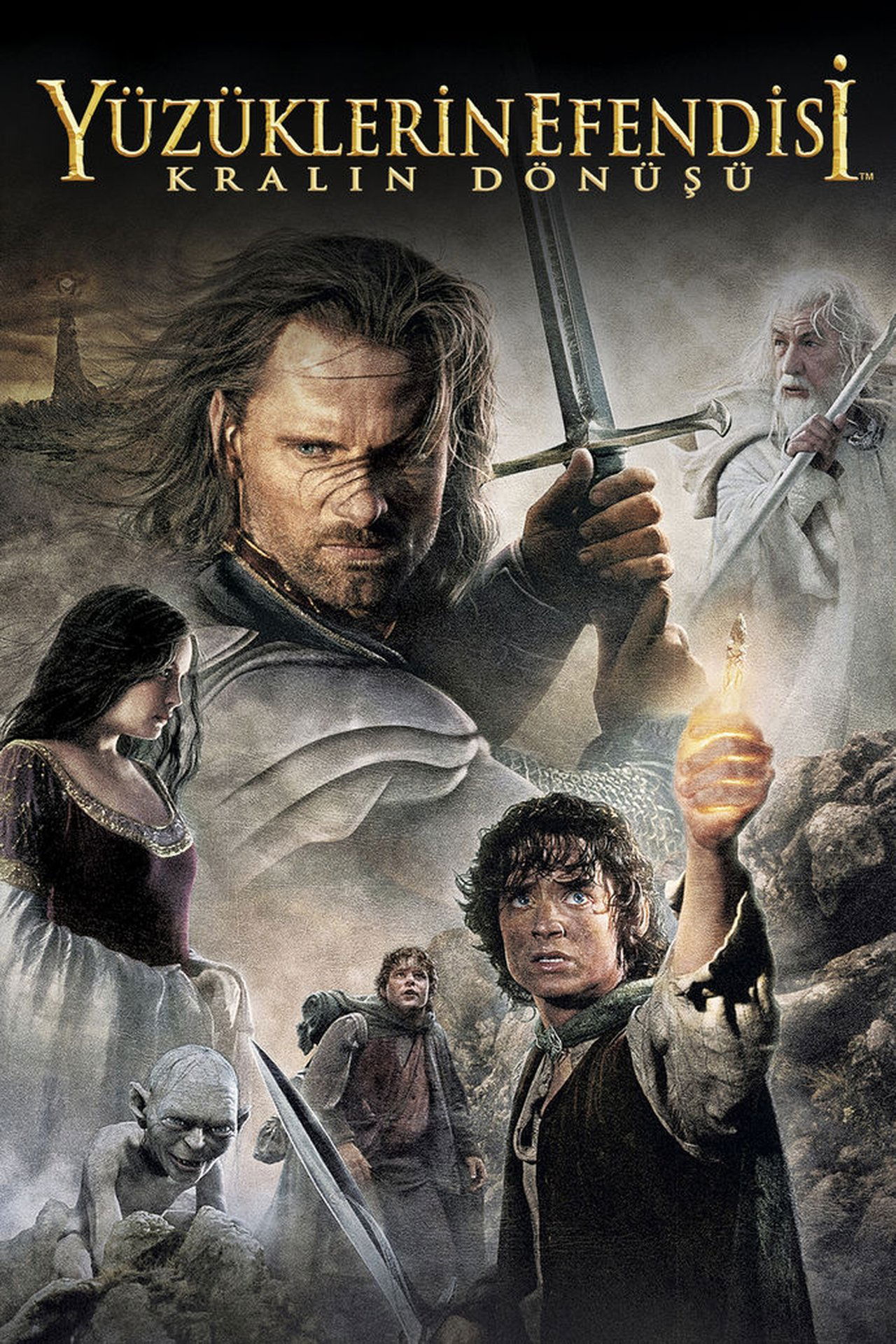 The Lord of the Rings: The Return of the King (2003) Theatrical Cut 224Kbps 23.976Fps 48Khz 2.0Ch DD+ AMZN E-AC3 Turkish Audio TAC