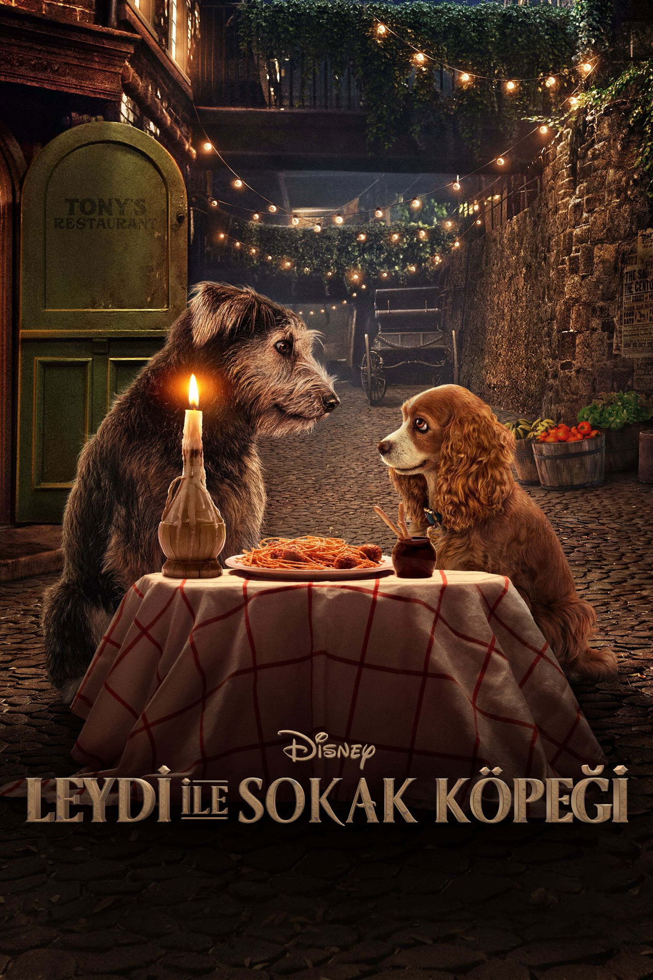 Lady and the Tramp (2019) 256Kbps 23.976Fps 48Khz 5.1Ch Disney+ DD+ E-AC3 Turkish Audio TAC