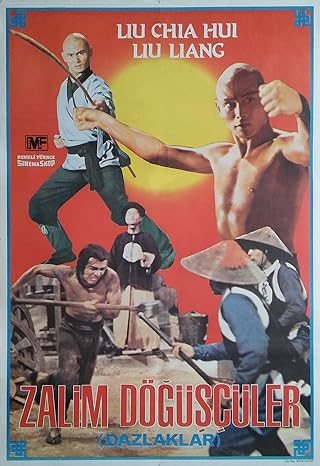The 36th Chamber of Shaolin (1978) 224Kbps 23.976Fps 48Khz 2.0Ch VCD Turkish Audio TAC
