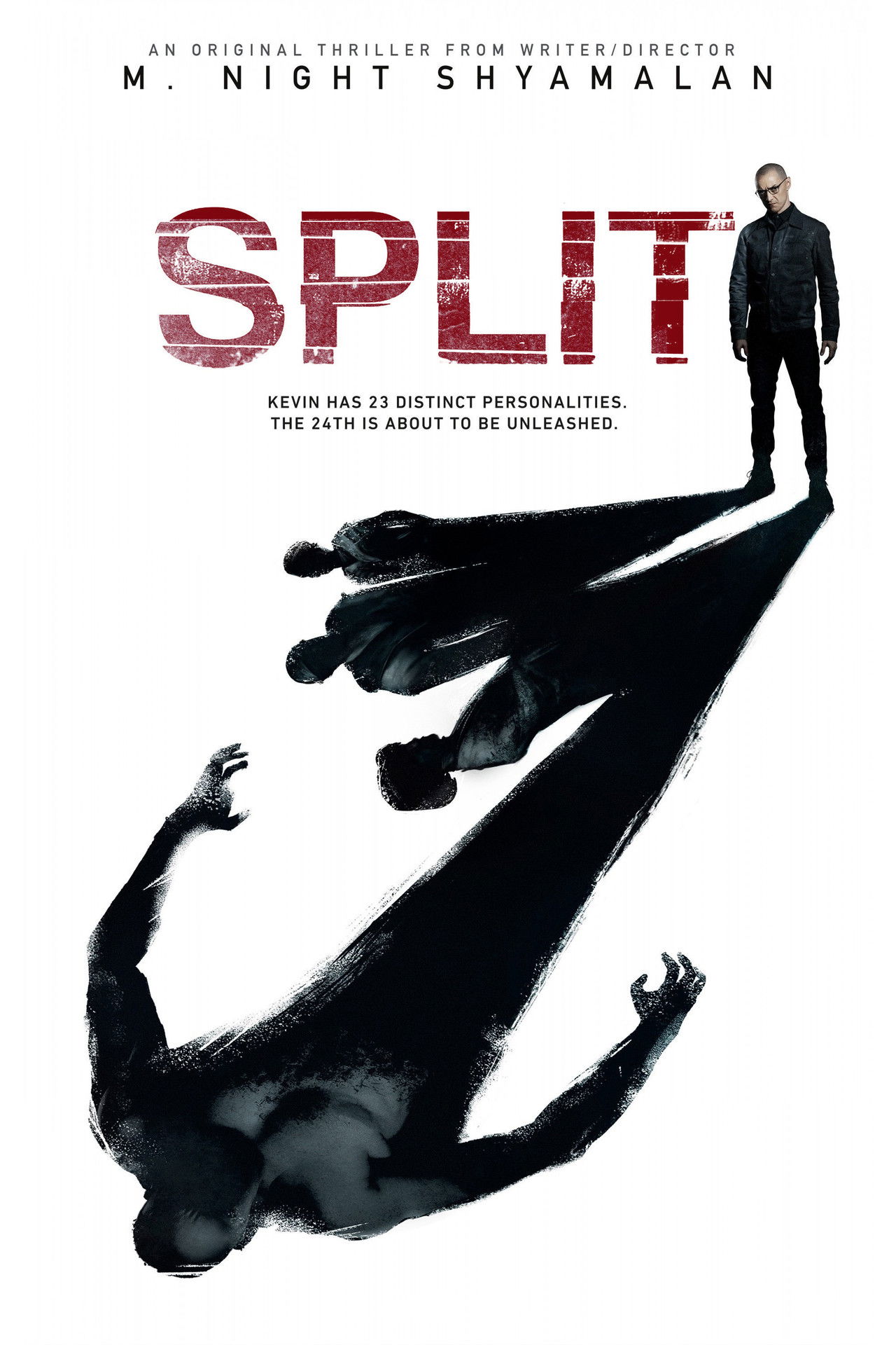Split (2016) 192Kbps 23.976Fps 48Khz 2.0Ch DigitalTV Turkish Audio TAC